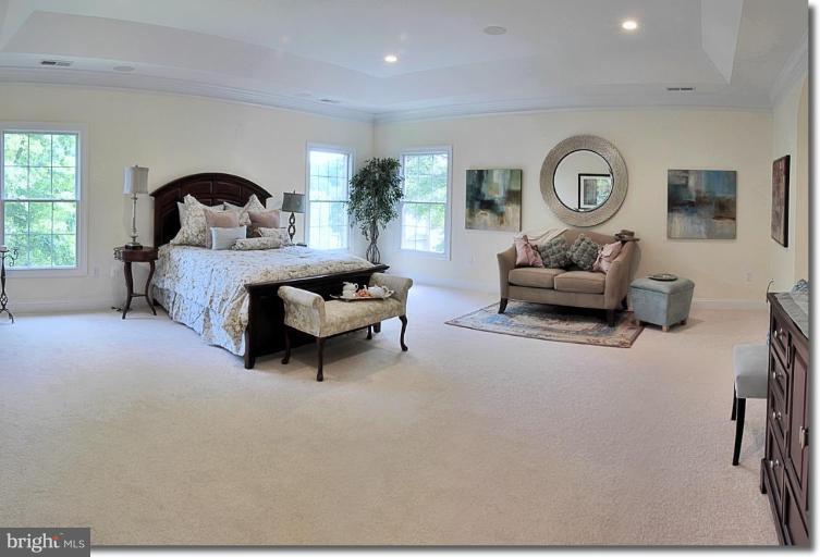 2181 Chain Bridge Road Vienna, VA 22182 - Photo 16 of 28 Master Bedroom