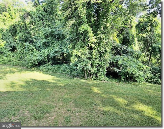 2181 Chain Bridge Road Vienna, VA 22182 - Photo 28 of 28 Back yard