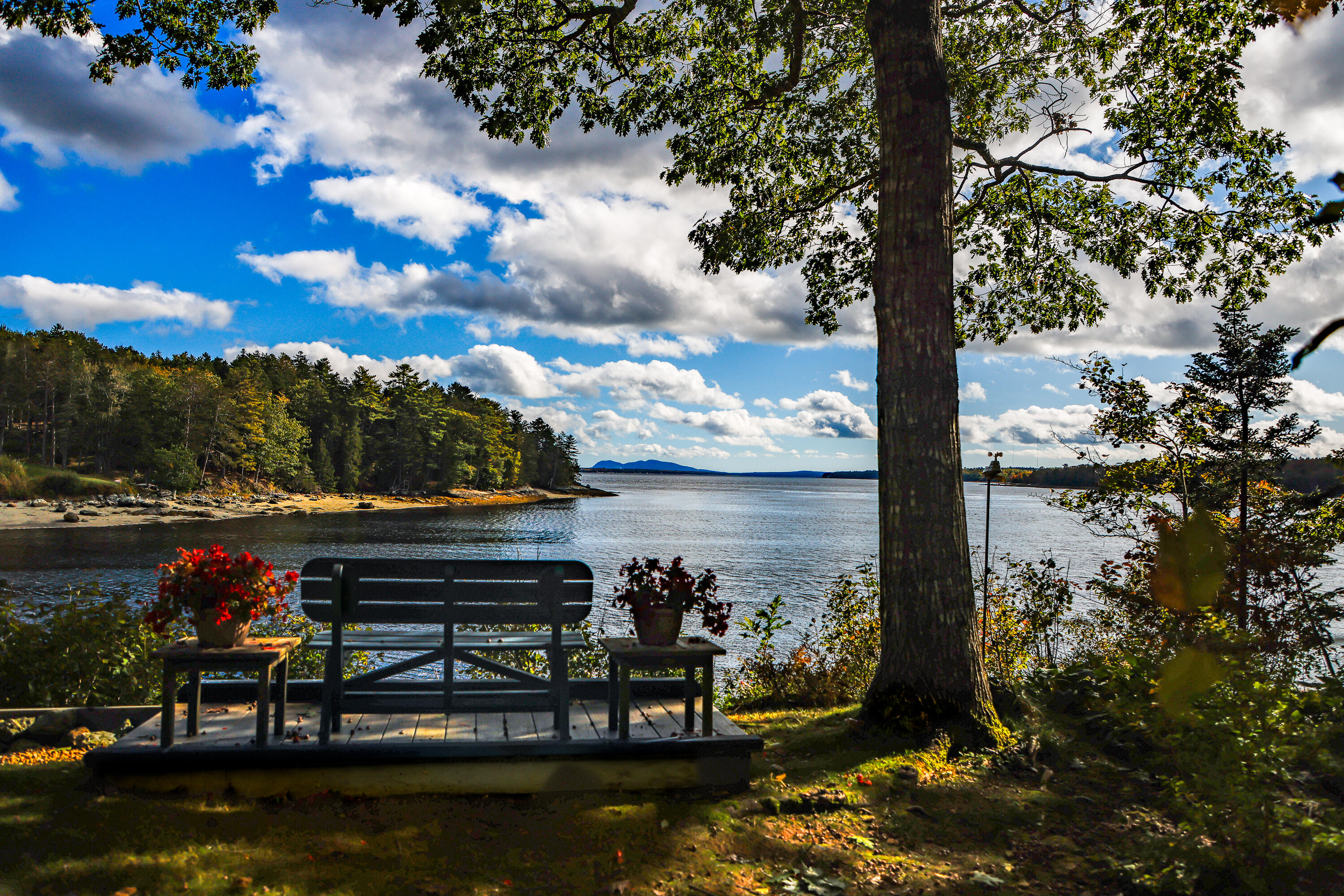 918 Surry Road Surry, ME 04684 - Photo 4 of 26 20231008-_Z4A3296-HDR