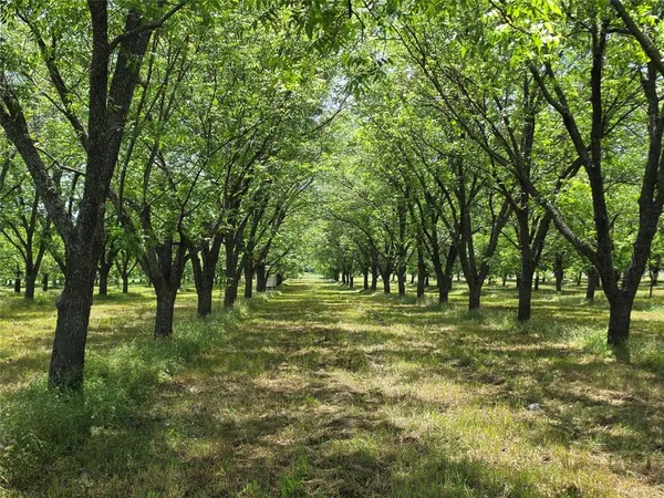 a big yard with lots of green space and trees in the background