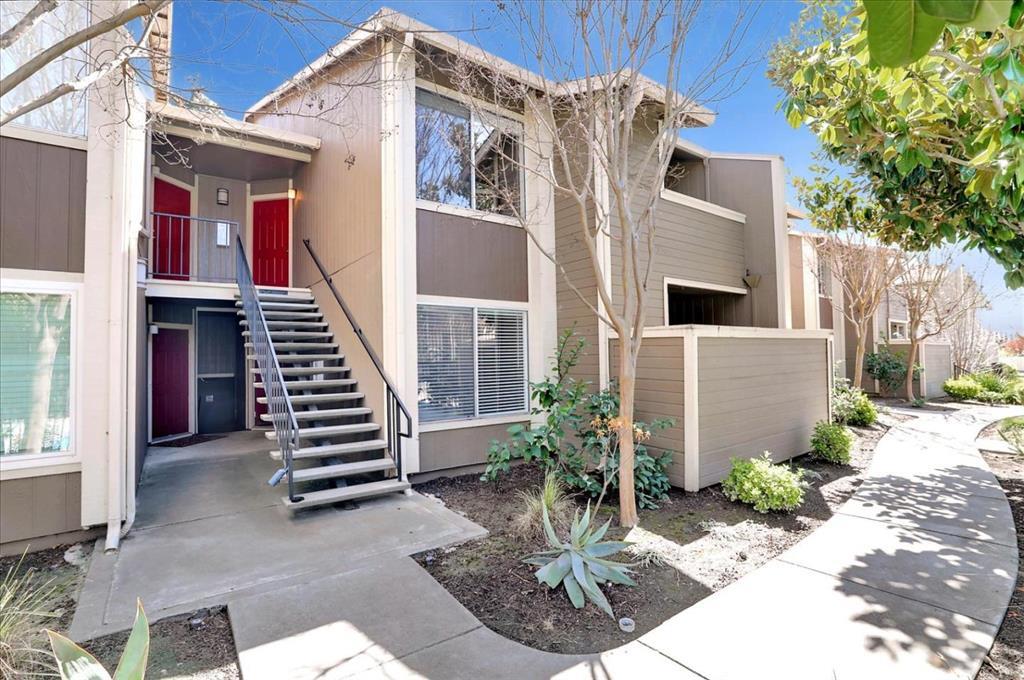 a view of a house with wooden floor and a potted plant
