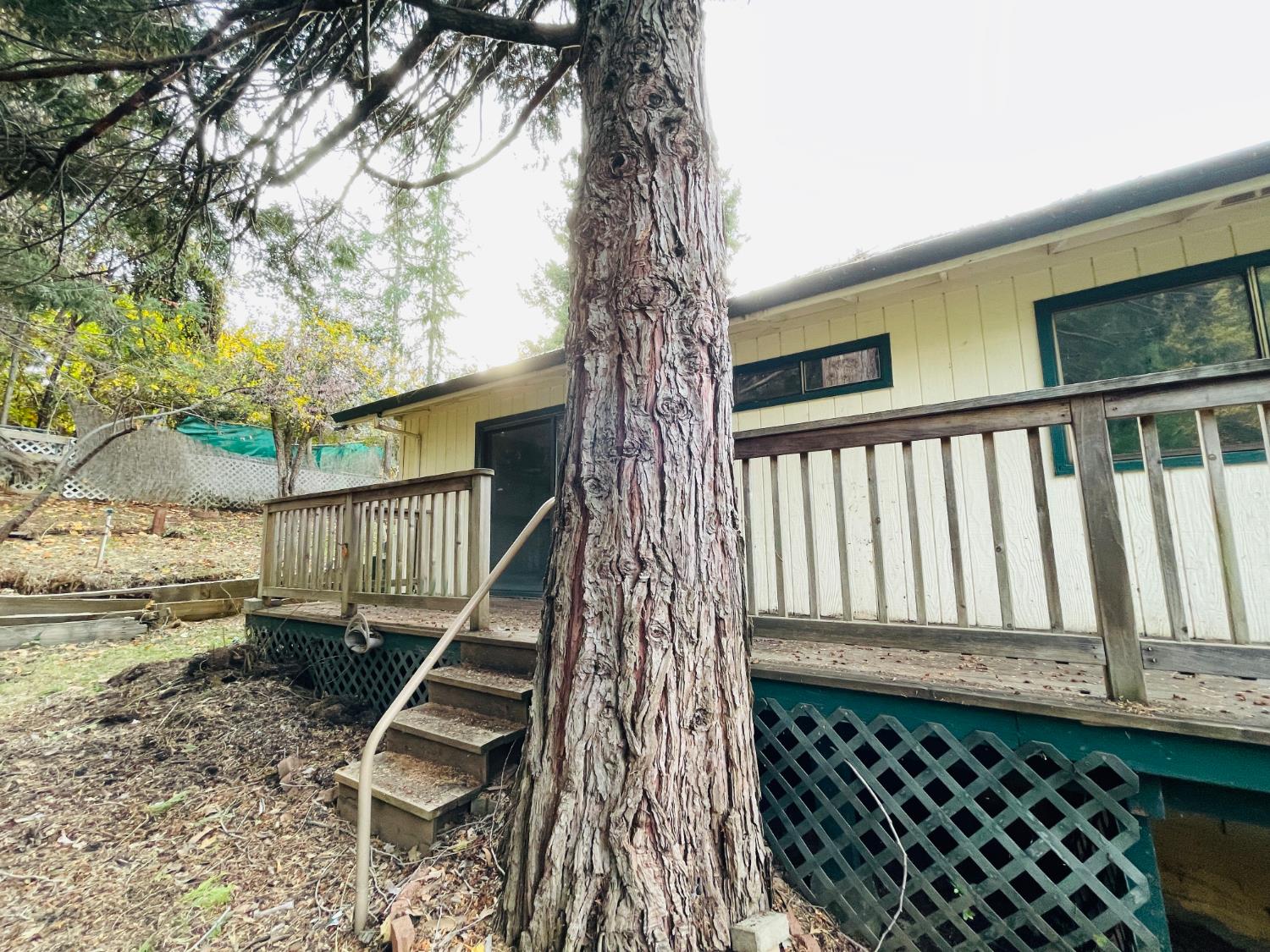 2783 Crystal Springs Road Camino, CA 95709 - Photo 9 of 30