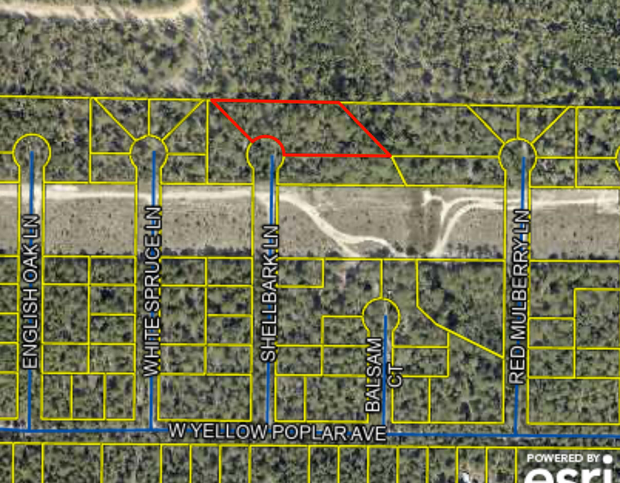 1-acre Shellbark Lane DeFuniak Springs, FL 32433 - Photo 1 of 1 IMG_1047