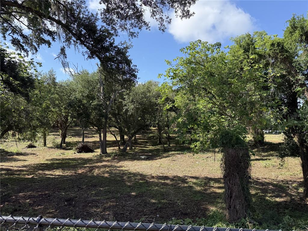 521 East Clay Avenue Brandon, FL 33510 - Photo 5 of 12 a view of outdoor space with trees