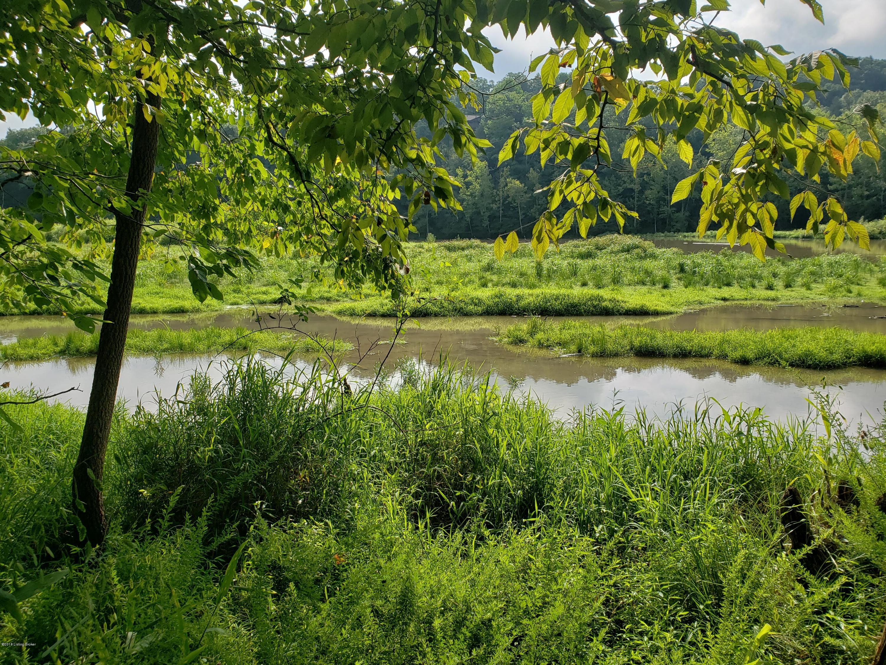 Lot #25 Red Wing Road Brandenburg, KY 40108 - Photo 5 of 12 20180801_095119