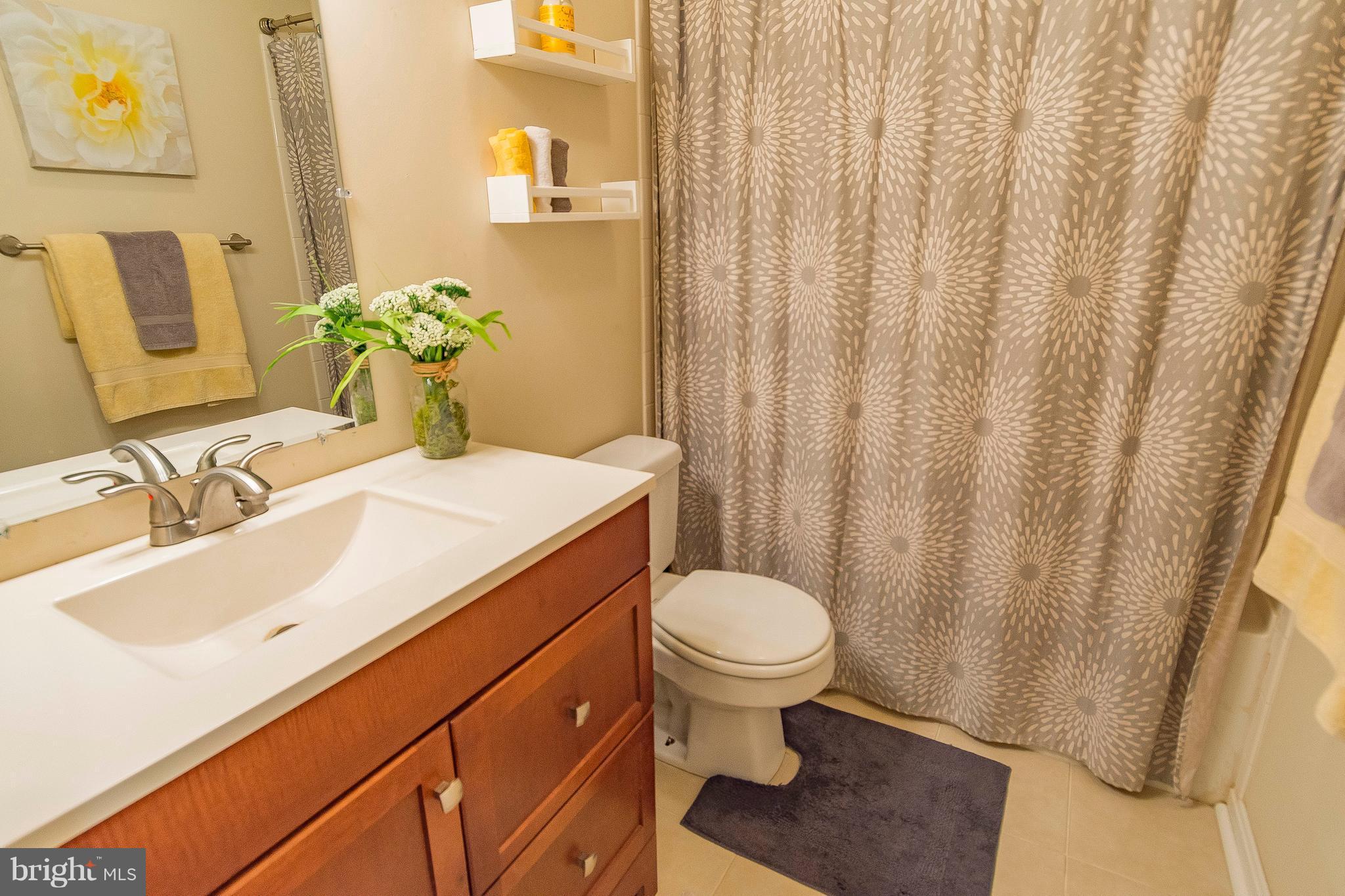 1218 Calvert Beach Road St. Leonard, MD 20685 - Photo 17 of 29 a bathroom with a sink and a mirror