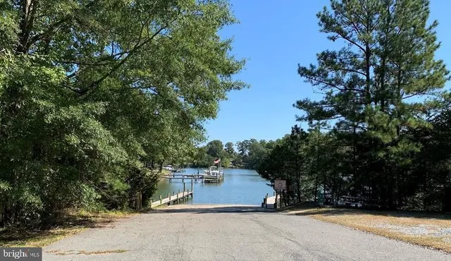 a view of a lake with boats and trees in the background