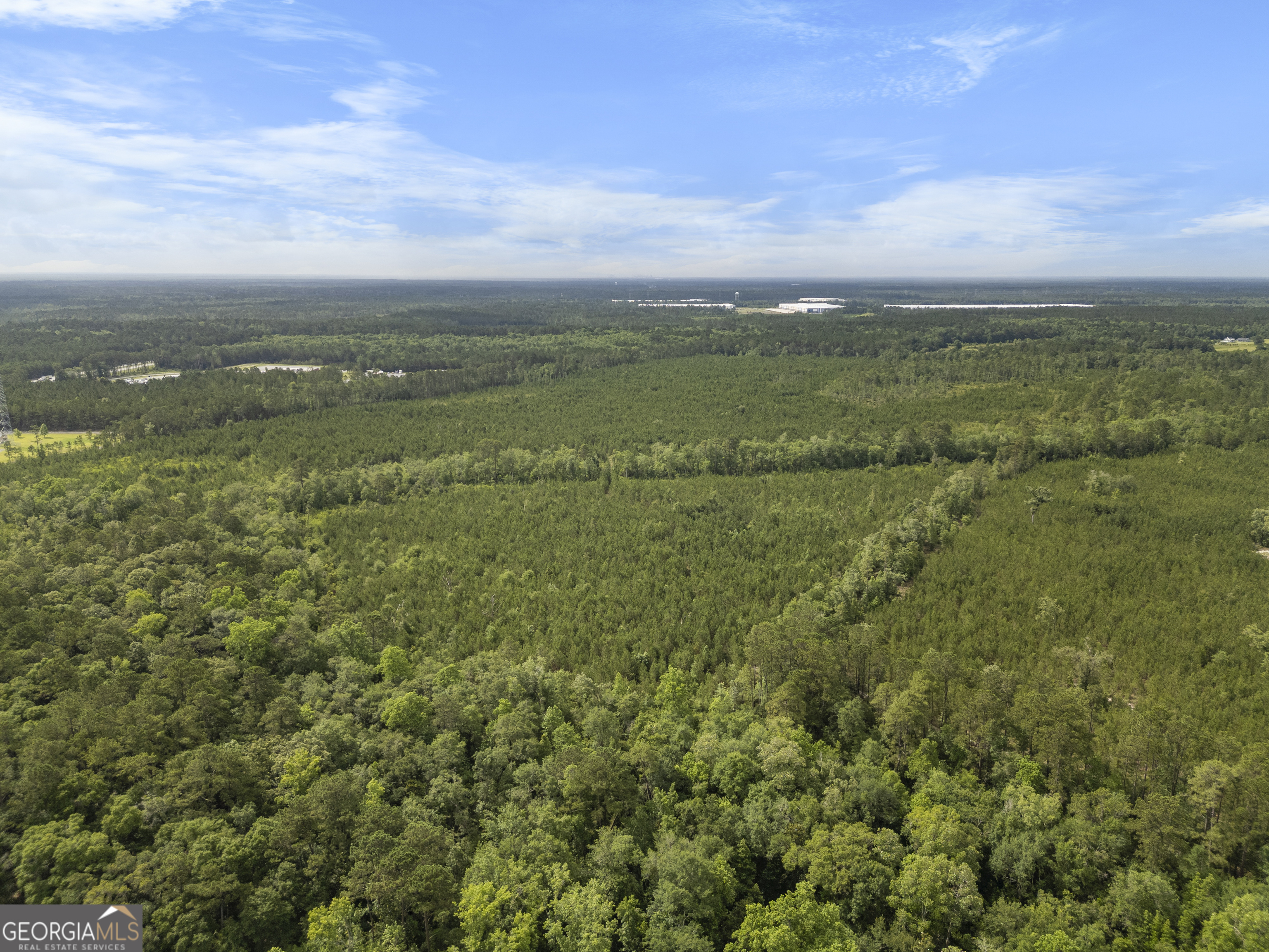 0 Rahn Station Road Rincon, GA 31326 - Photo 11 of 21