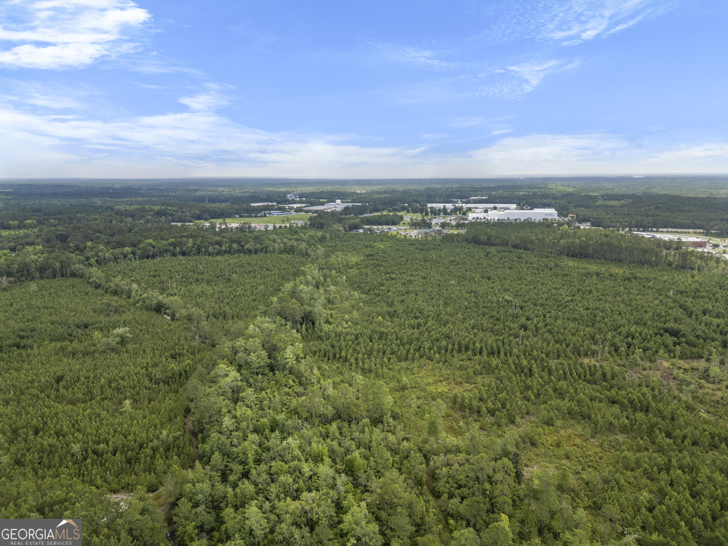 0 Rahn Station Road Rincon, GA 31326 - Photo 4 of 21