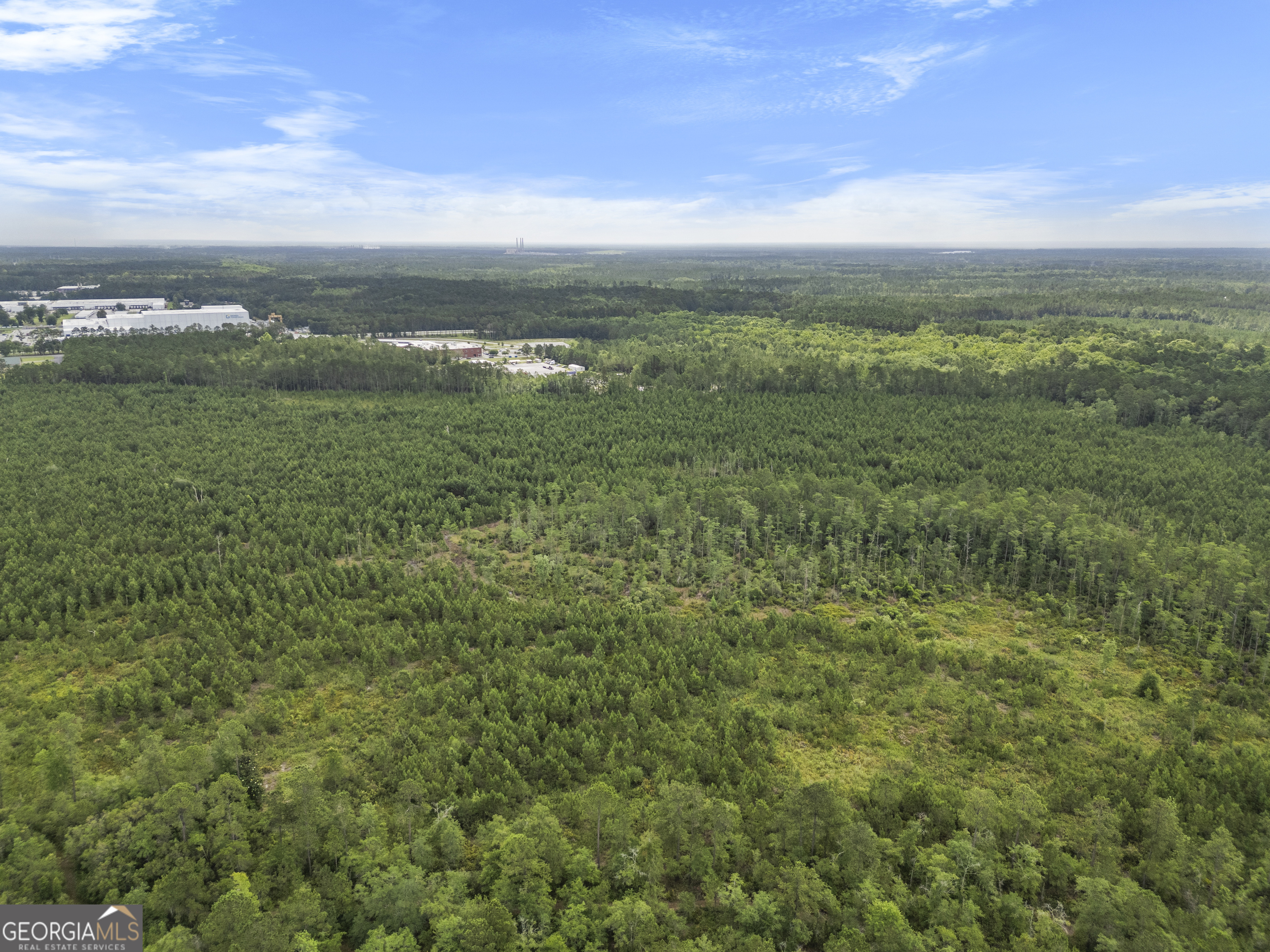 0 Rahn Station Road Rincon, GA 31326 - Photo 5 of 21