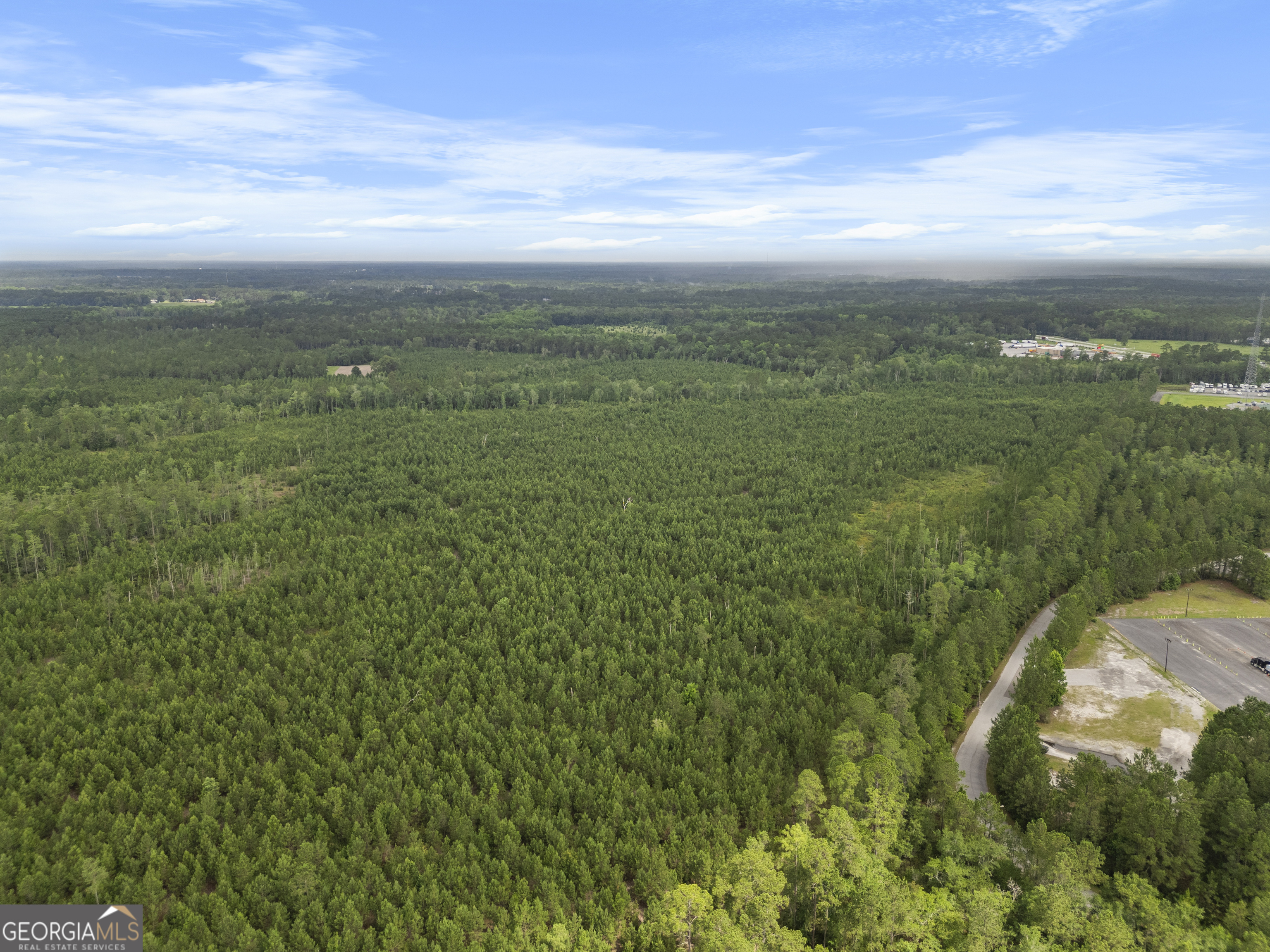 0 Rahn Station Road Rincon, GA 31326 - Photo 6 of 21