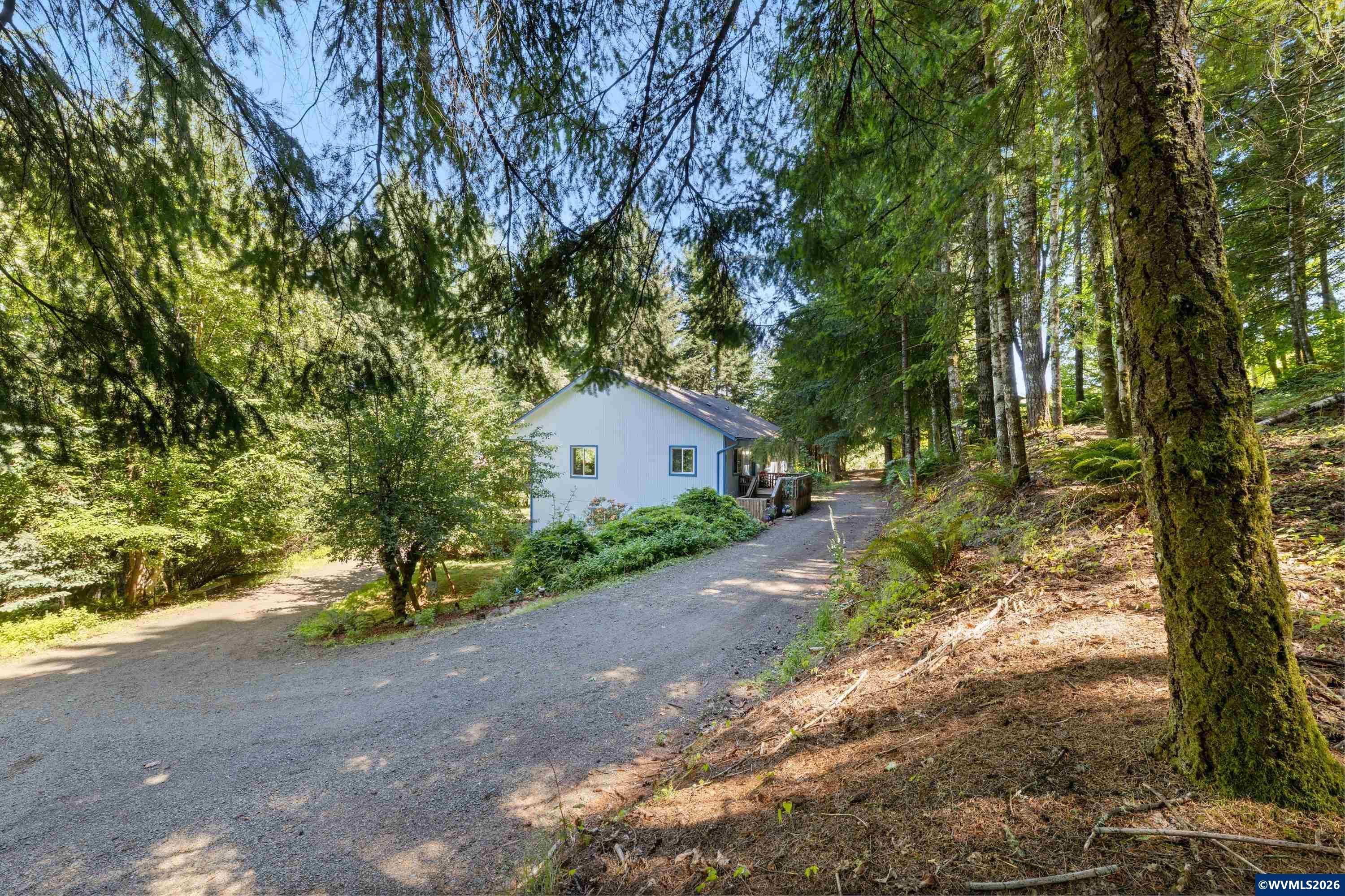 6100 Teal Creek Road Dallas, OR 97338 - Photo 32 of 41 a view of a road with plants and large trees