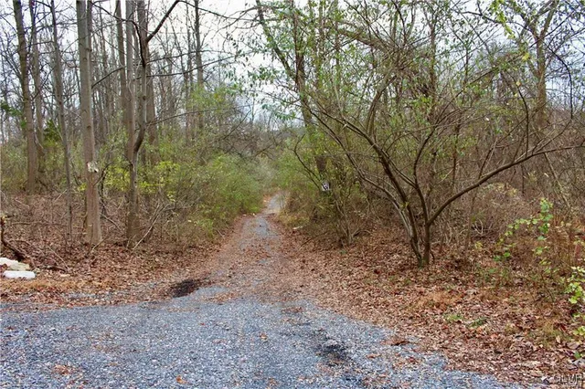 a view of a yard with large trees