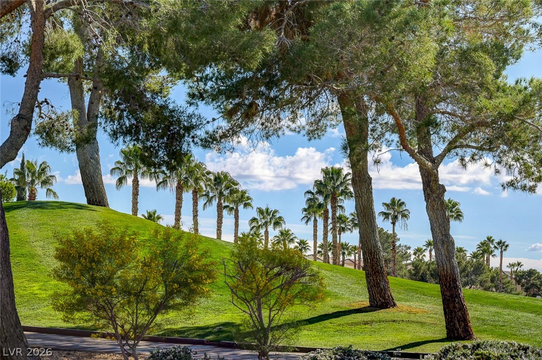 113 Elm Reed Avenue Las Vegas, NV 89113 - Photo 58 of 62 View of community