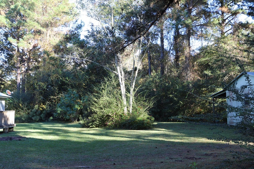 693 Sapps Lake Road Enigma, GA 31749 - Photo 19 of 21 Gallery Image 19