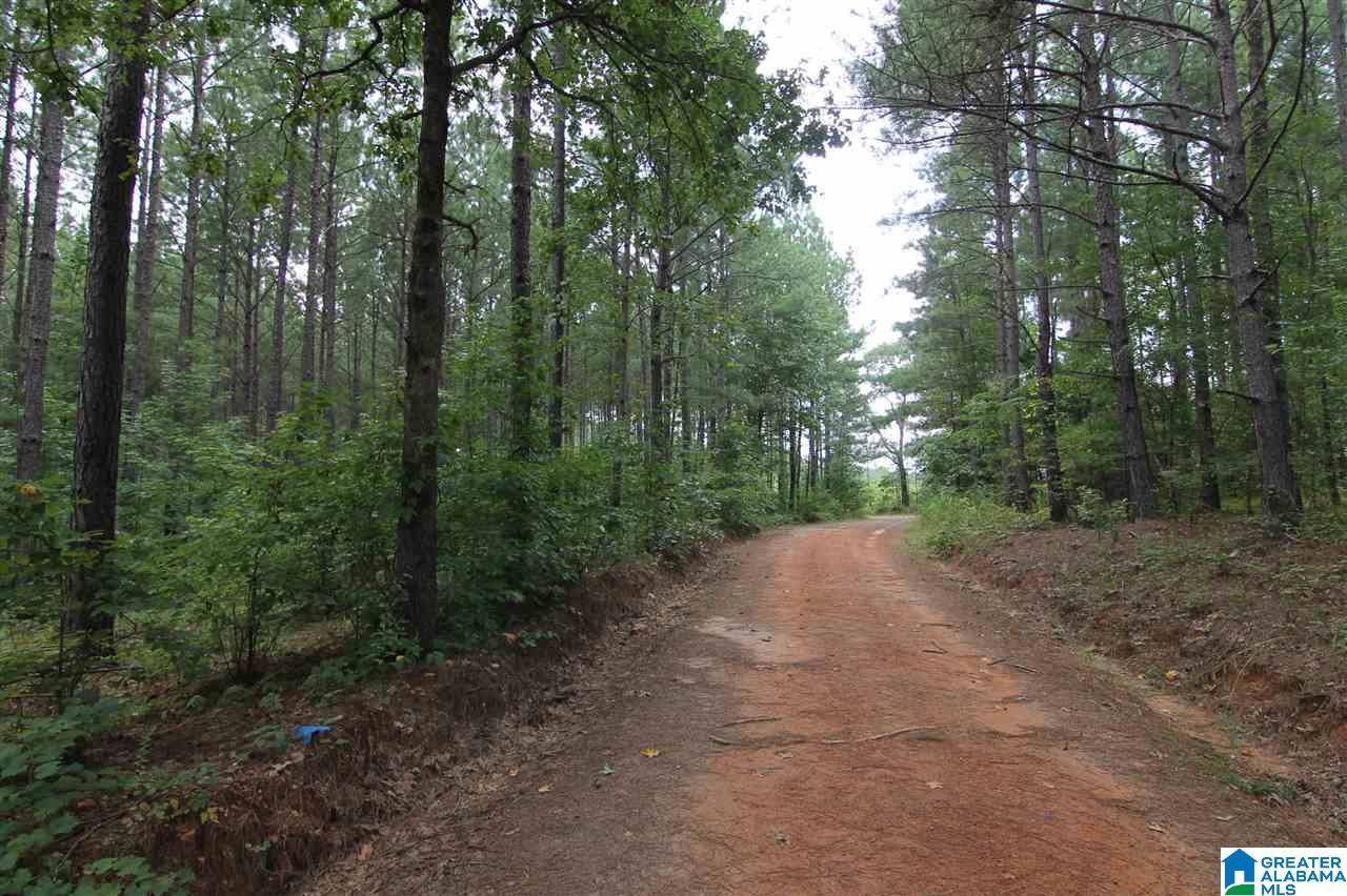 636 County Road, Unit 92 Roanoke, AL 36274 - Photo 5 of 11