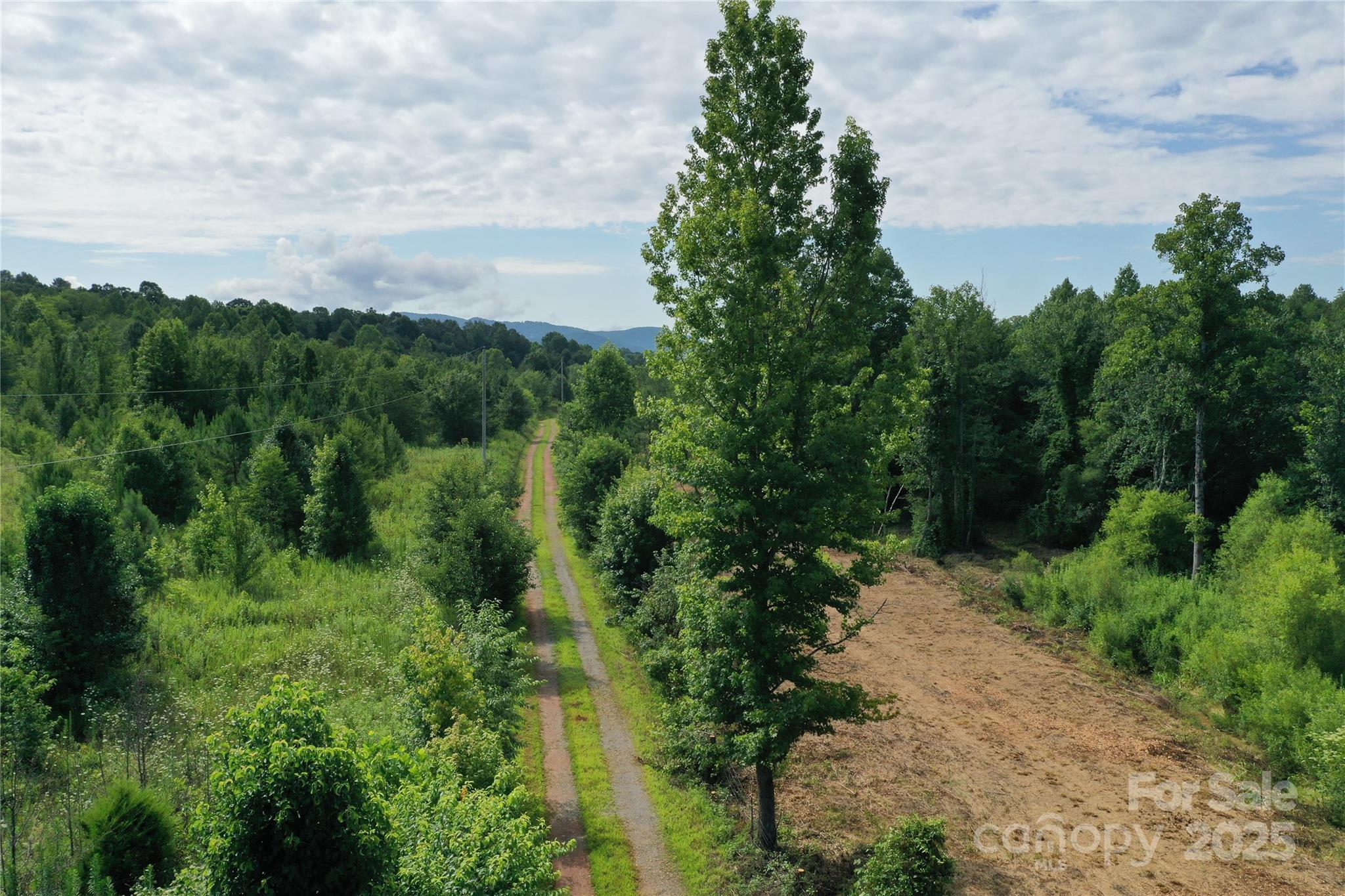 4762 Tallent Road Morganton, NC 28655 - Photo 11 of 21 Gallery Image 11