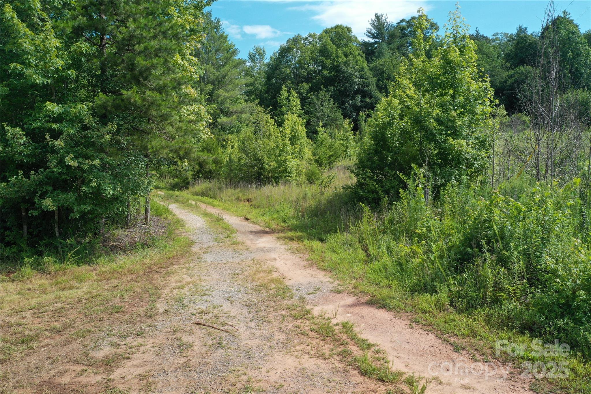 4762 Tallent Road Morganton, NC 28655 - Photo 14 of 21 Gallery Image 14