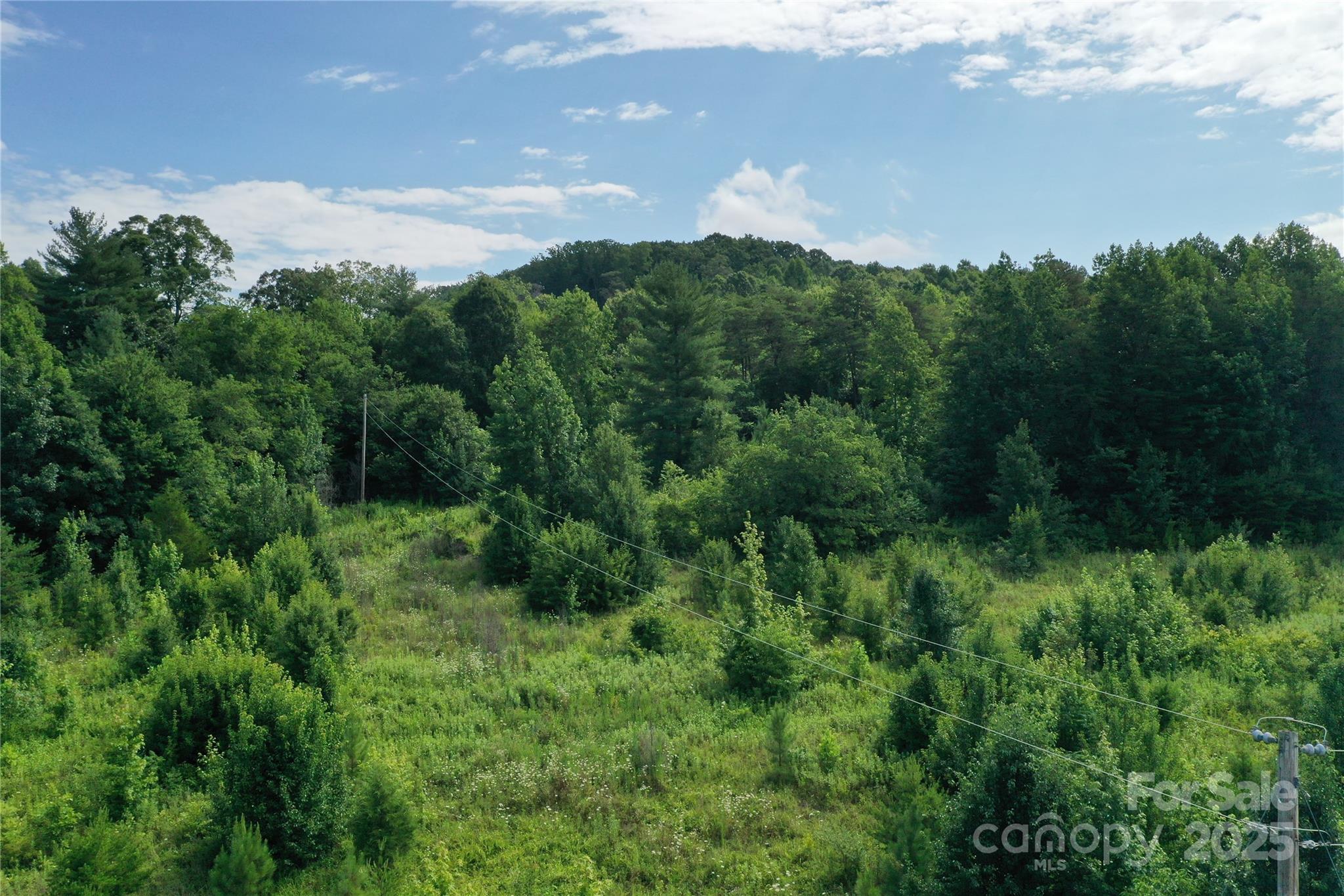 4762 Tallent Road Morganton, NC 28655 - Photo 16 of 21 Gallery Image 16
