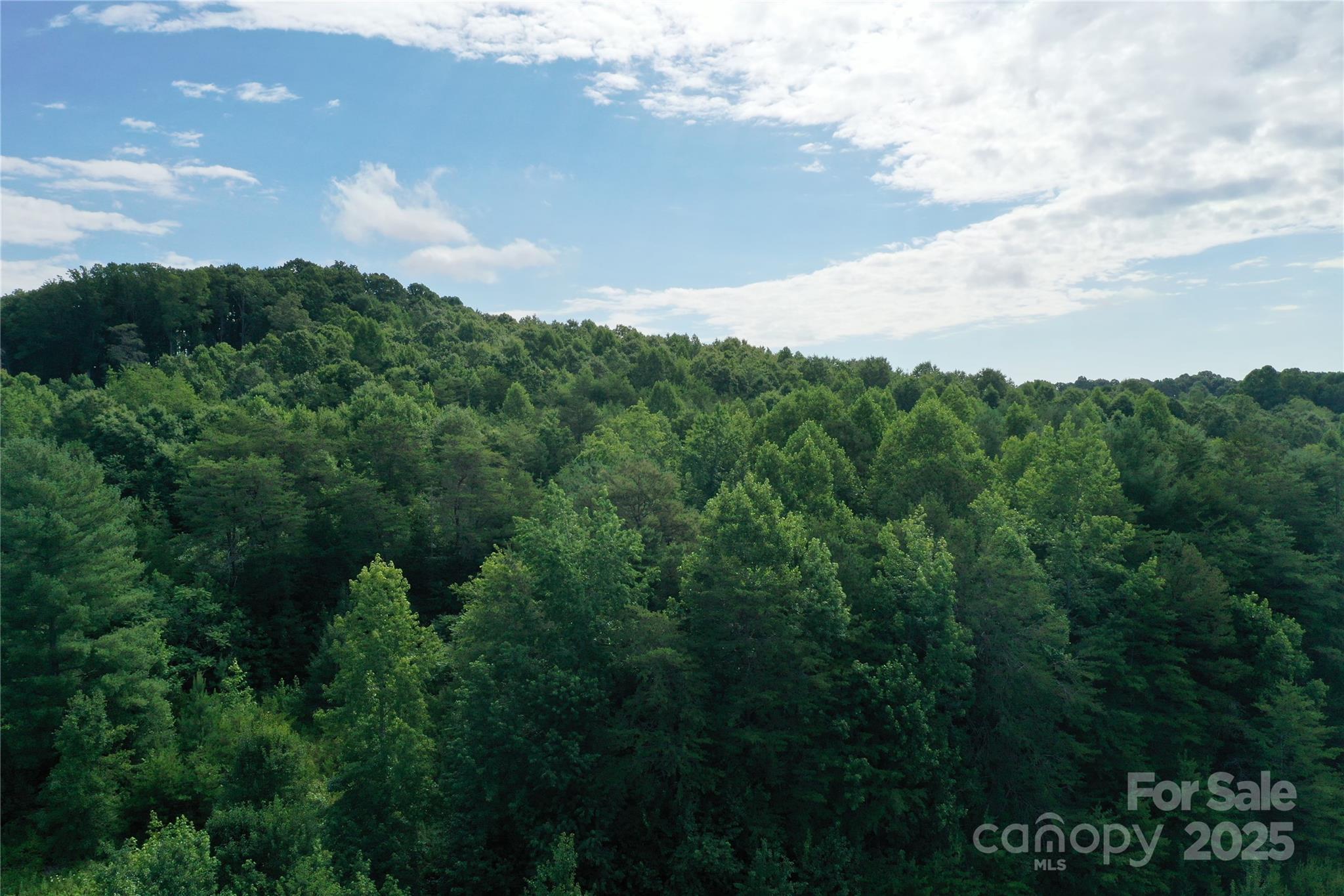 4762 Tallent Road Morganton, NC 28655 - Photo 17 of 21 Gallery Image 17