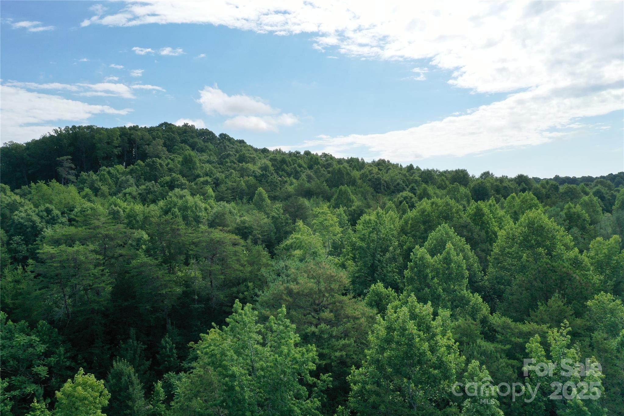 4762 Tallent Road Morganton, NC 28655 - Photo 18 of 21 Gallery Image 18