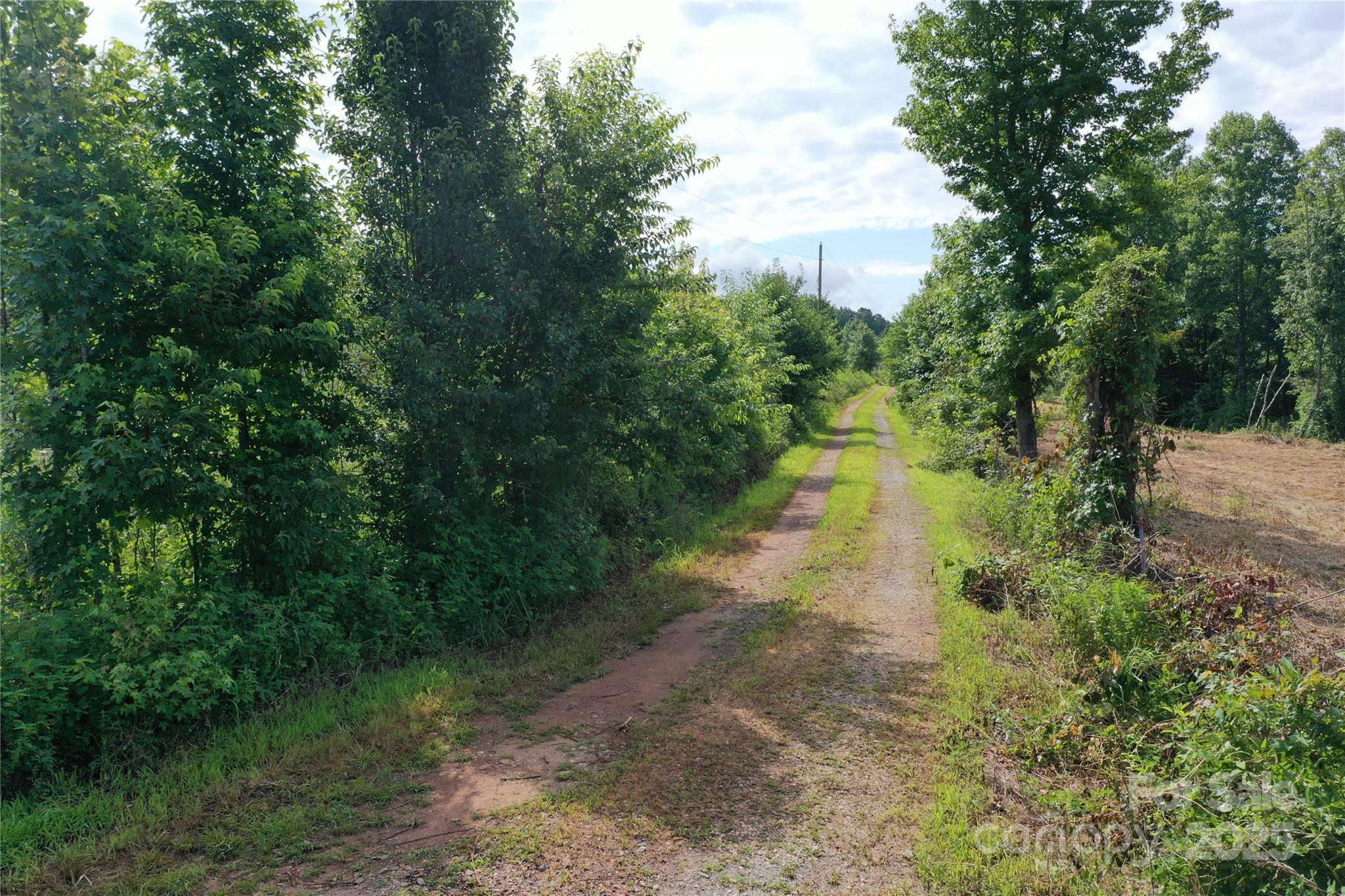 4762 Tallent Road Morganton, NC 28655 - Photo 4 of 21 Gallery Image 4