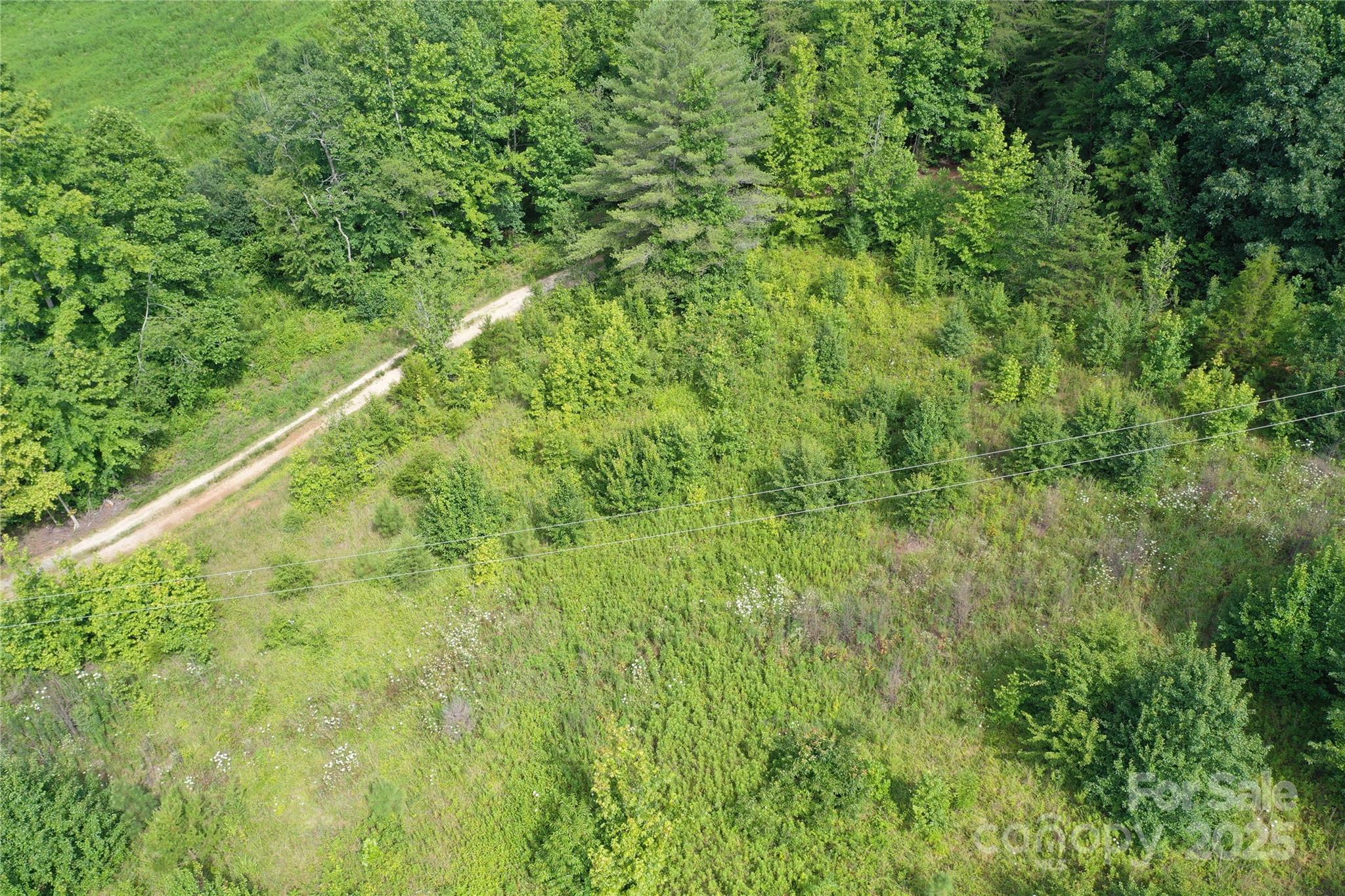 4762 Tallent Road Morganton, NC 28655 - Photo 10 of 21 Gallery Image 10