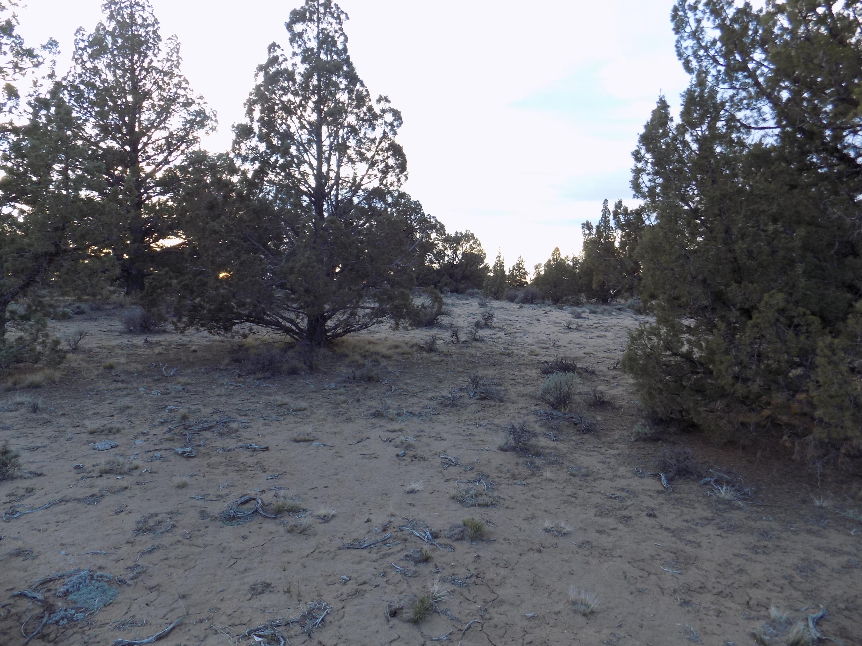 1400 Golden View Ranch Bend Bend, OR 97701 - Photo 8 of 13 DSCN6155