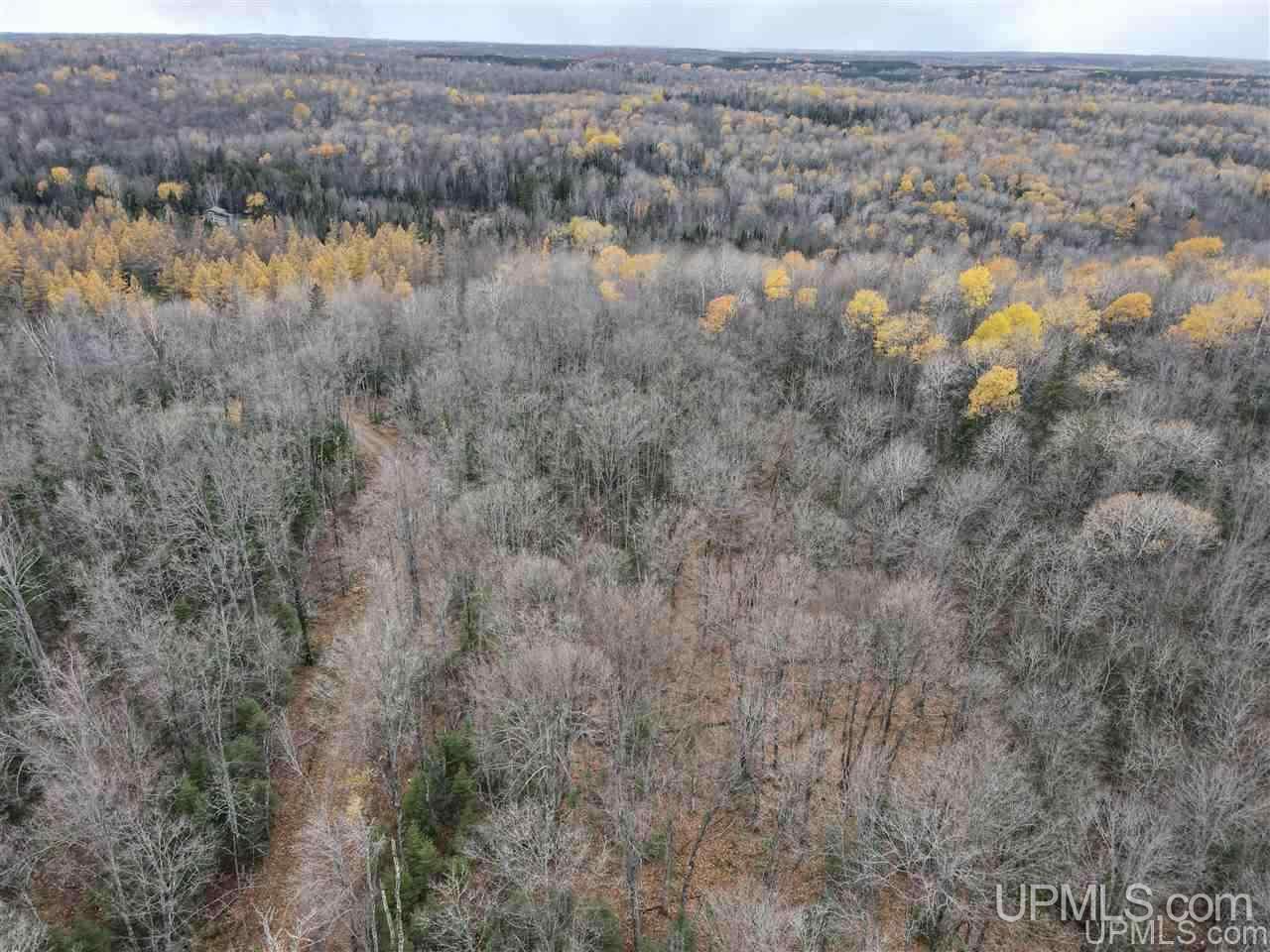 Off Off M64s Bessemer, MI 49911 - Photo 32 of 33