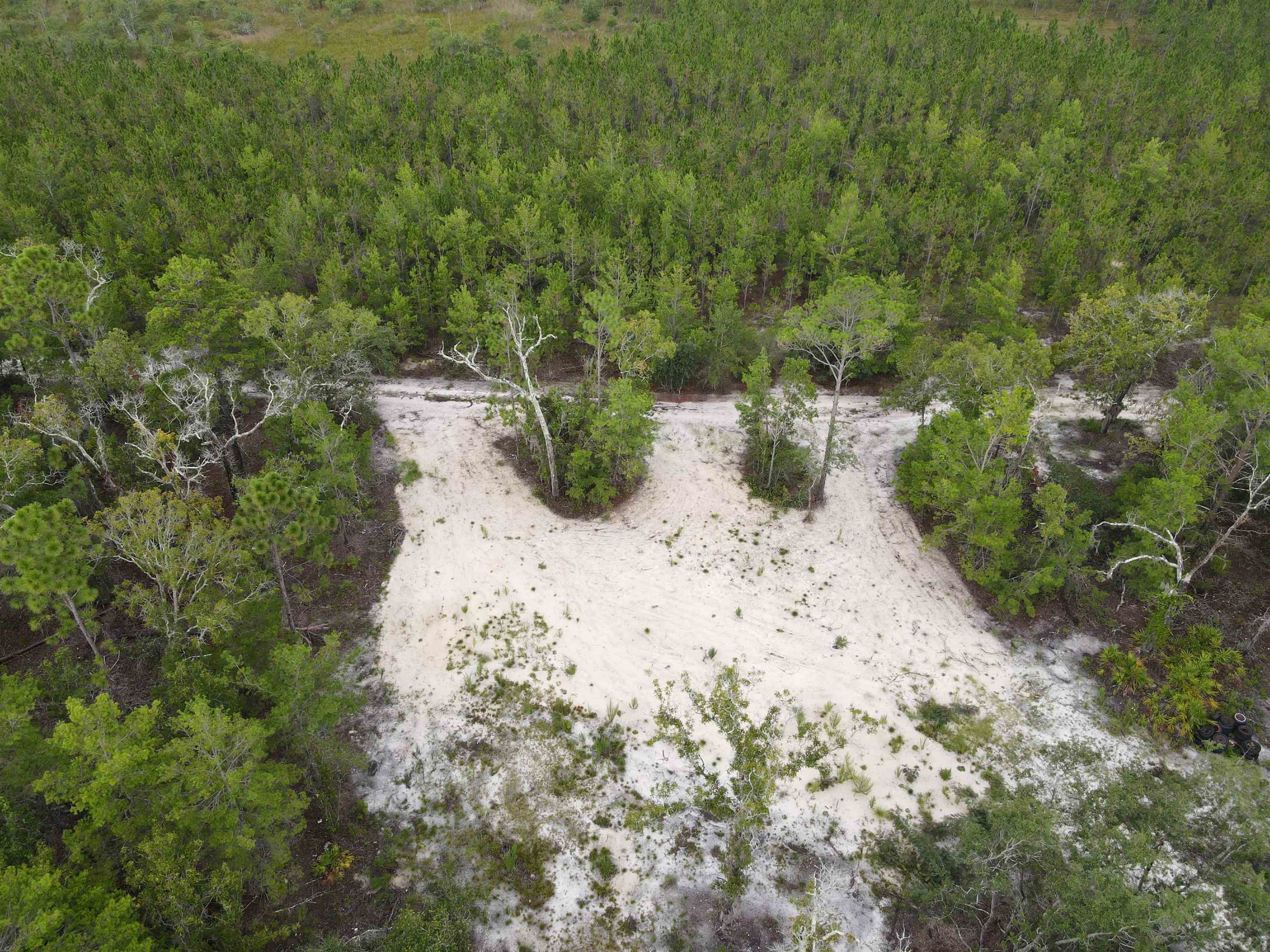 3386 Fish Creek Road Perry, FL 32348 - Photo 13 of 41 Gallery Image 13
