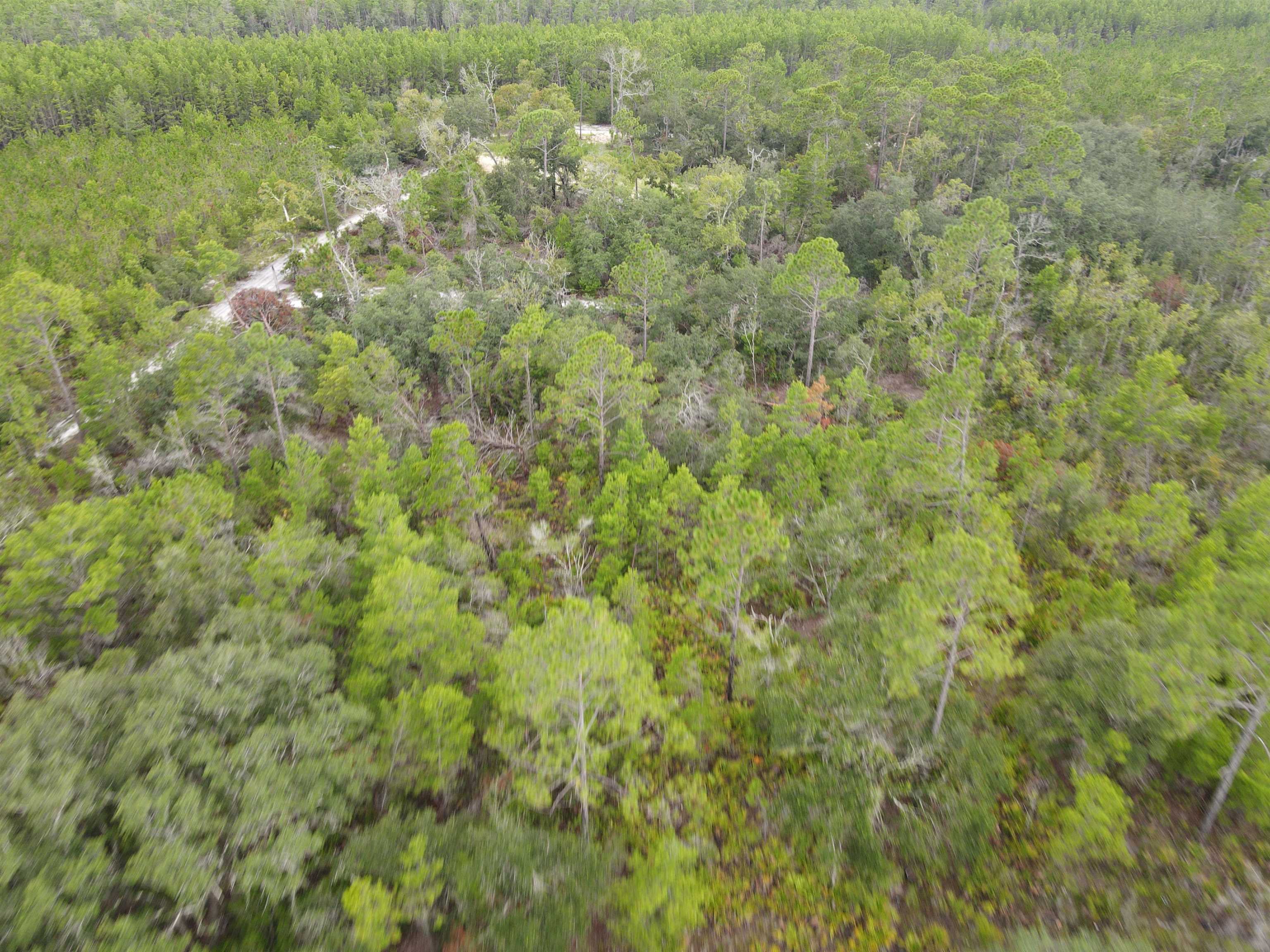 3386 Fish Creek Road Perry, FL 32348 - Photo 15 of 41 Gallery Image 15