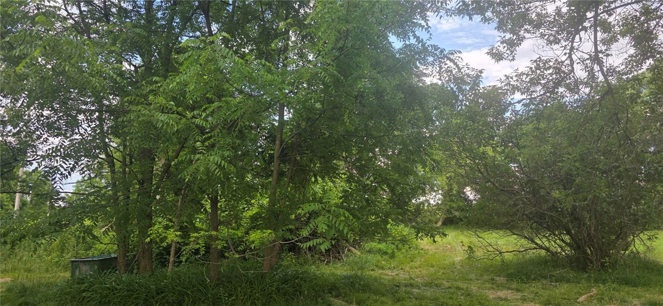 1747 Pole Bridge Road Avon, NY 14414 - Photo 4 of 6