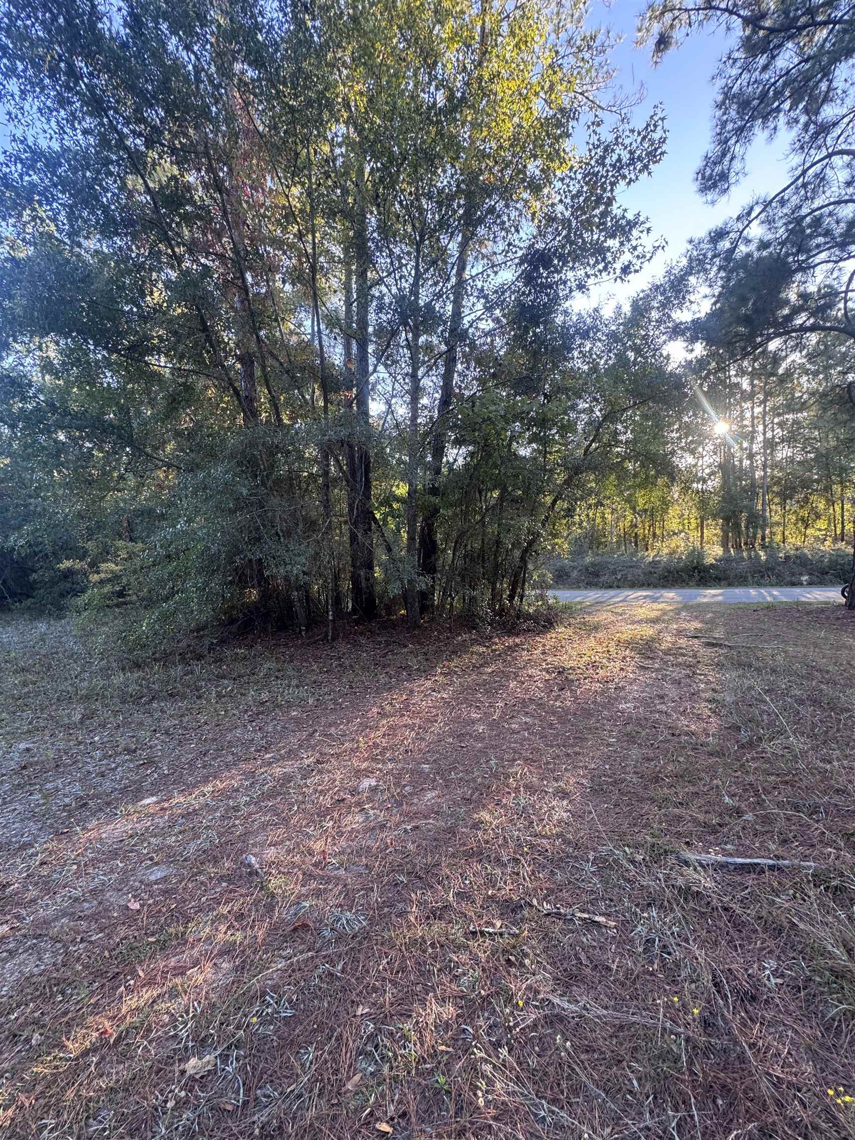 153 Davidson Street Quincy, FL 32351 - Photo 2 of 11