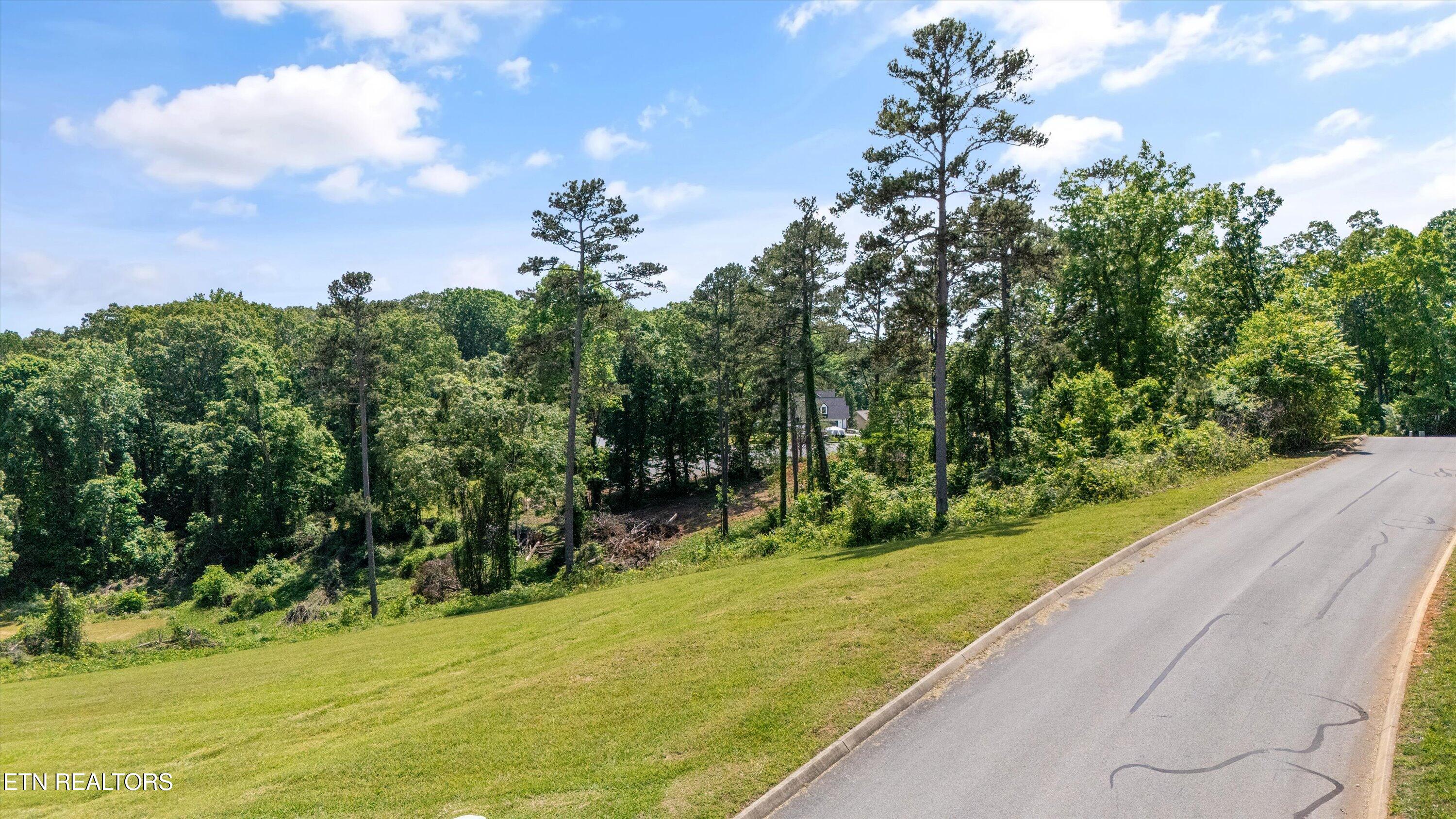 98 Cow Poke Lane Rutledge, TN 37861 - Photo 12 of 15 View from Road