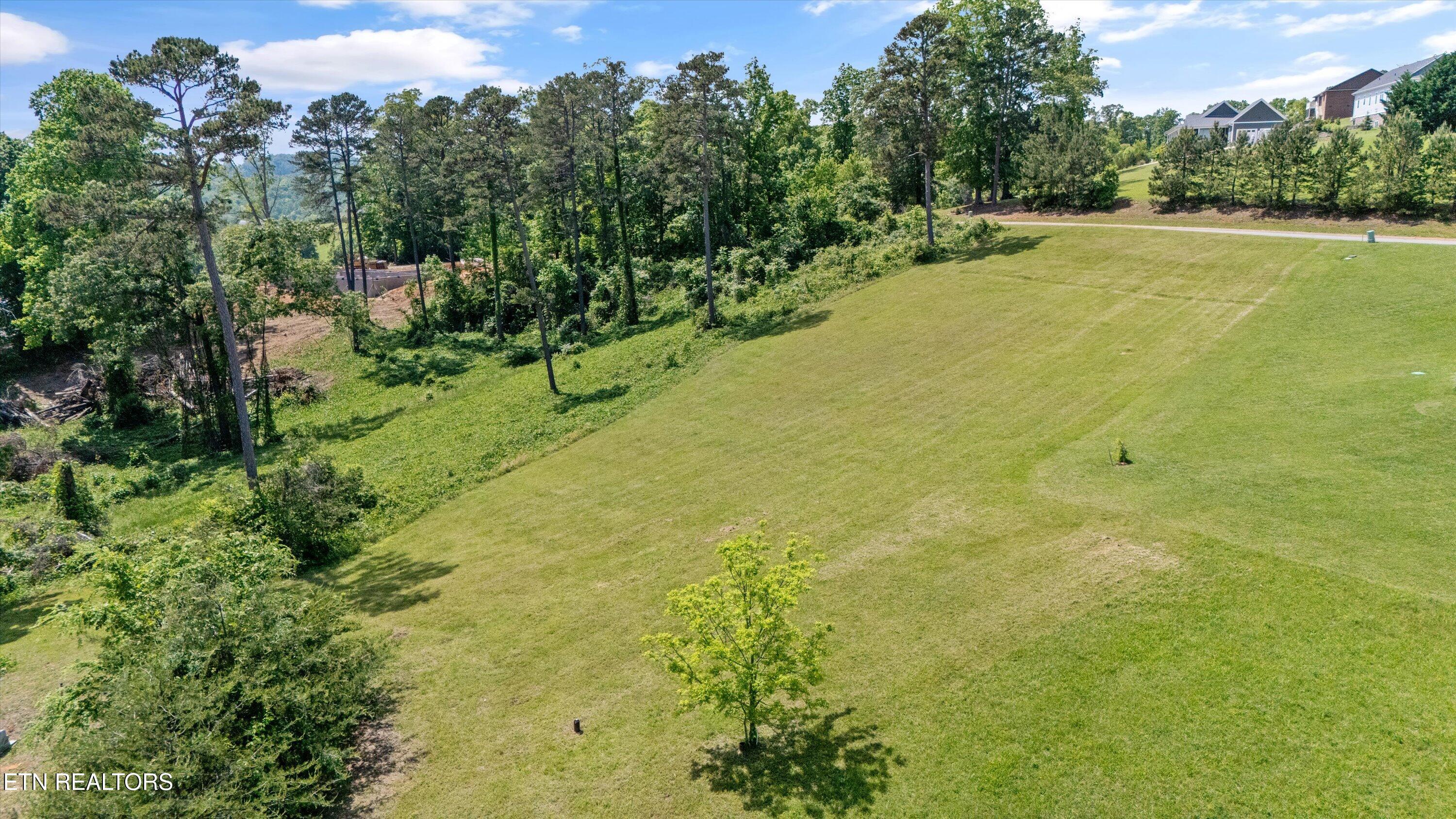 98 Cow Poke Lane Rutledge, TN 37861 - Photo 13 of 15 Rolling Lot Perfect for a Basement