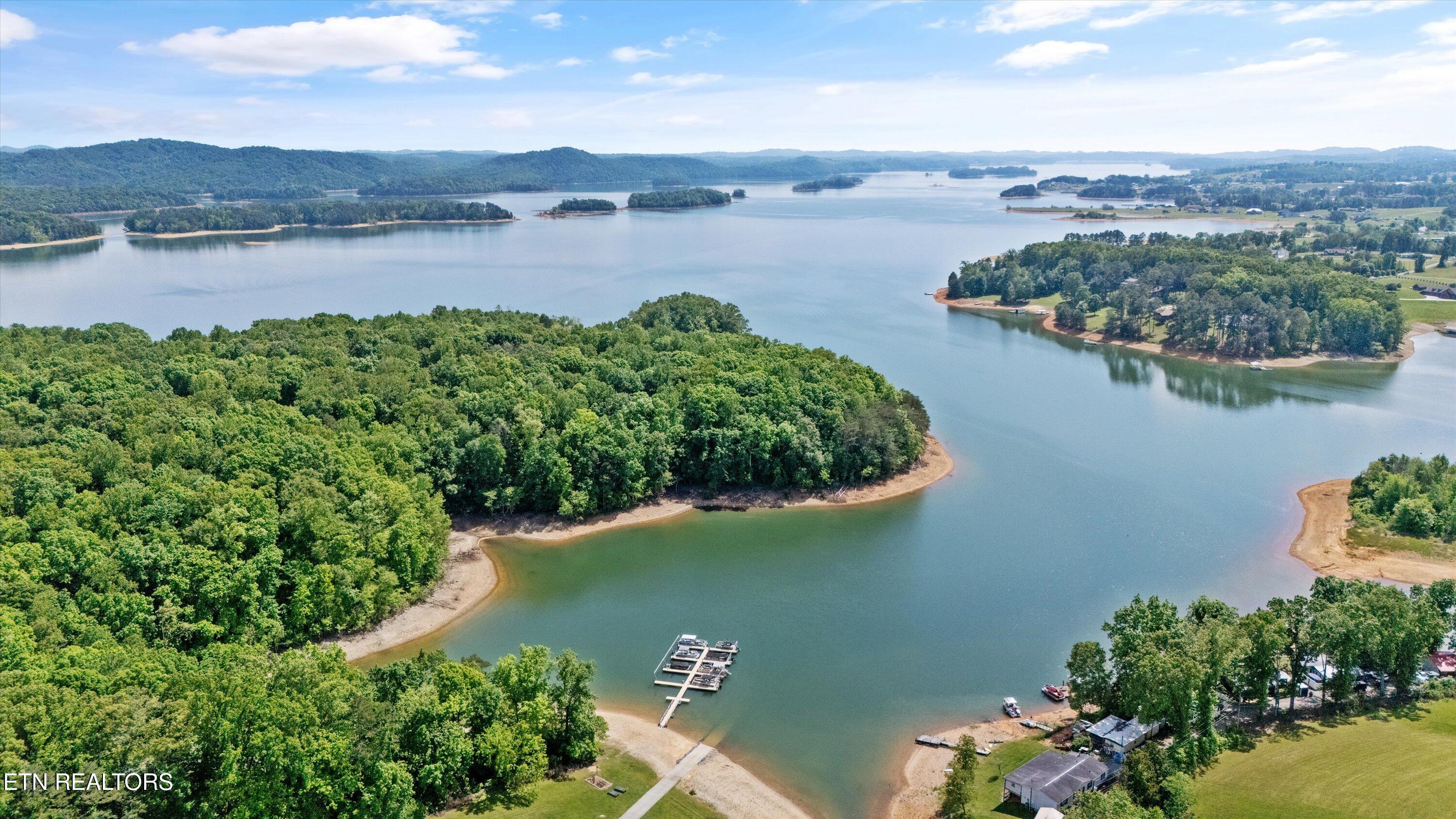 98 Cow Poke Lane Rutledge, TN 37861 - Photo 5 of 15 Boat Dock