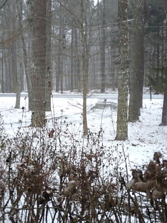 3319 Stewart Lake Road Monroe, GA 30655 - Photo 25 of 25
