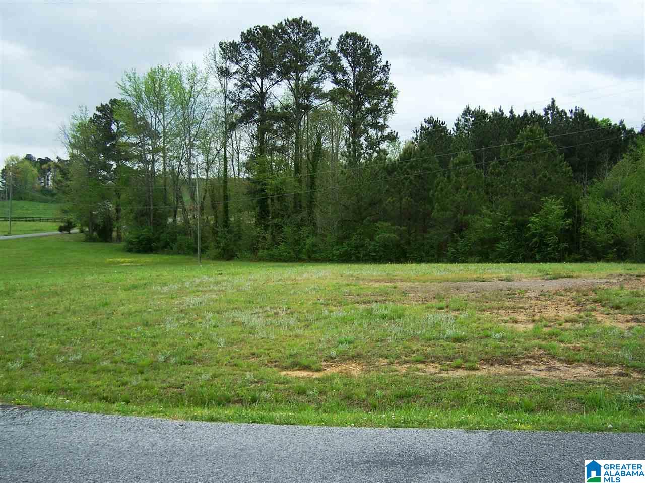 16 Daileys Chapel Road Oneonta, AL 35121 - Photo 46 of 50