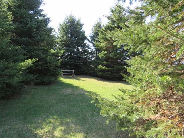 W9385 Forrest Road Antigo, WI 54409 - Photo 11 of 15 Gallery Image 11