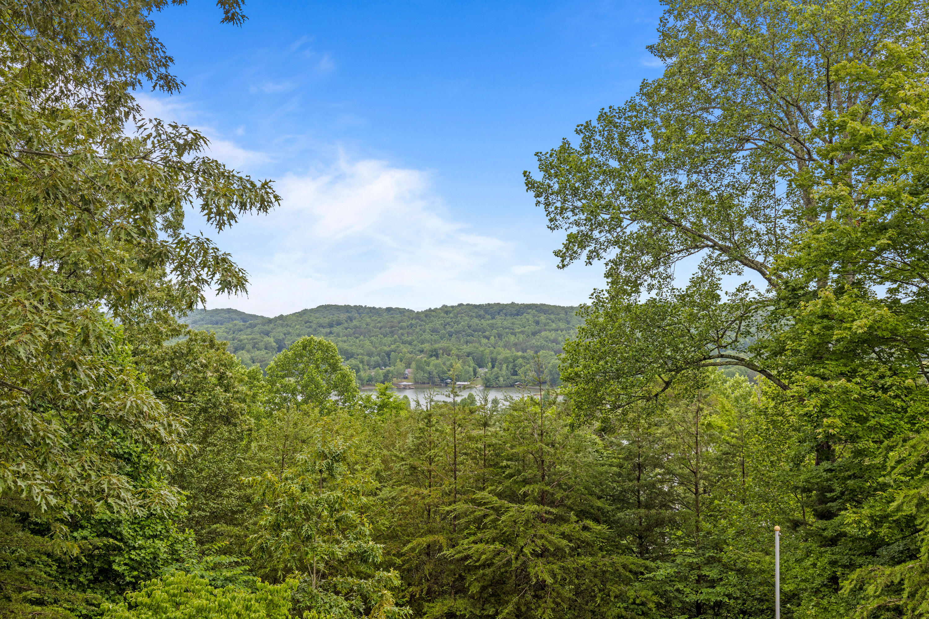 965 Lakewood Village Road Spring City, TN 37381 - Photo 30 of 60 Lakewood-24
