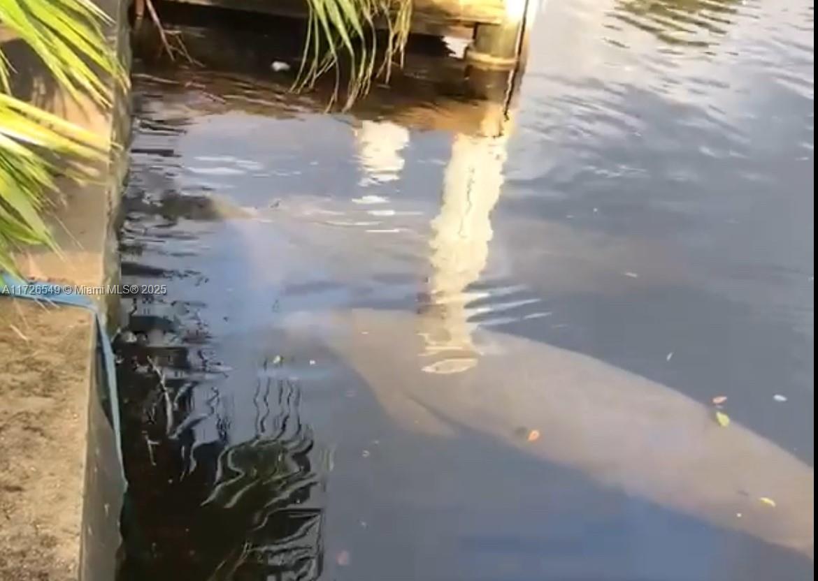 425 Northeast 29th Street Wilton Manors, FL 33334 - Photo 28 of 30 a view of water heater