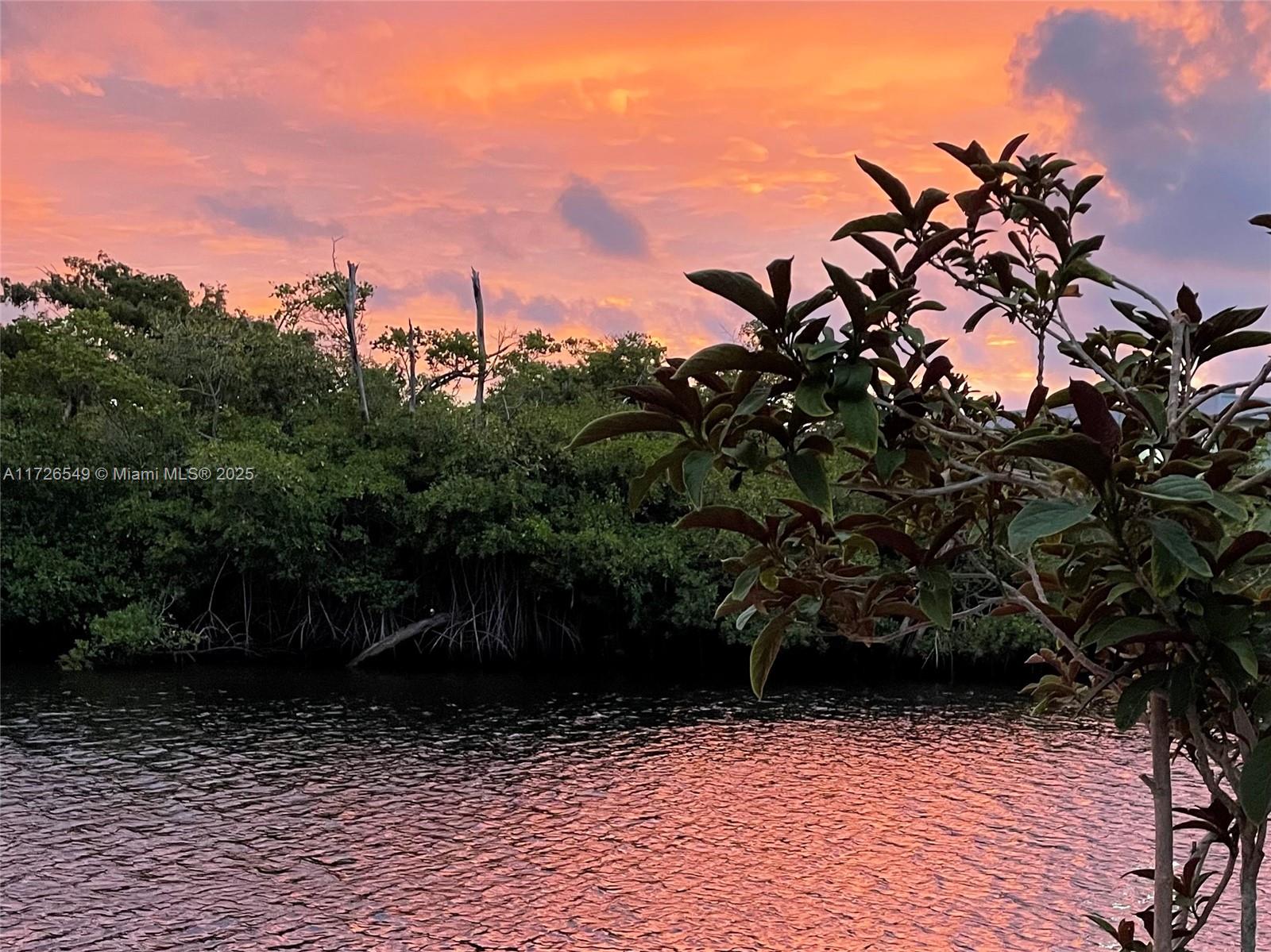 425 Northeast 29th Street Wilton Manors, FL 33334 - Photo 30 of 30 a view of backyard with green space
