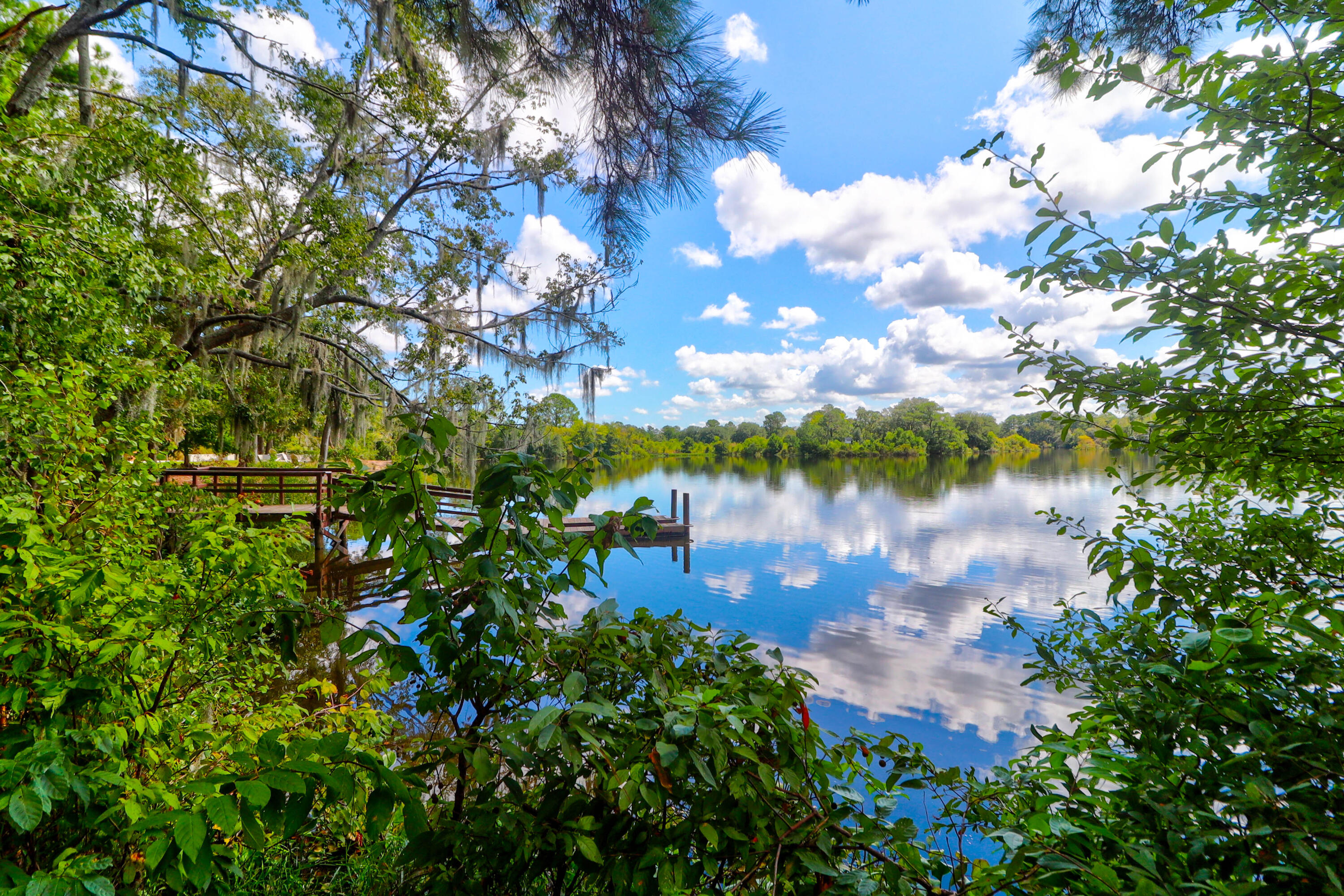 1888 Nola Run Ridgeville, SC 29472 - Photo 65 of 69 1888 Nola -Tidalcreekphoto- (64)