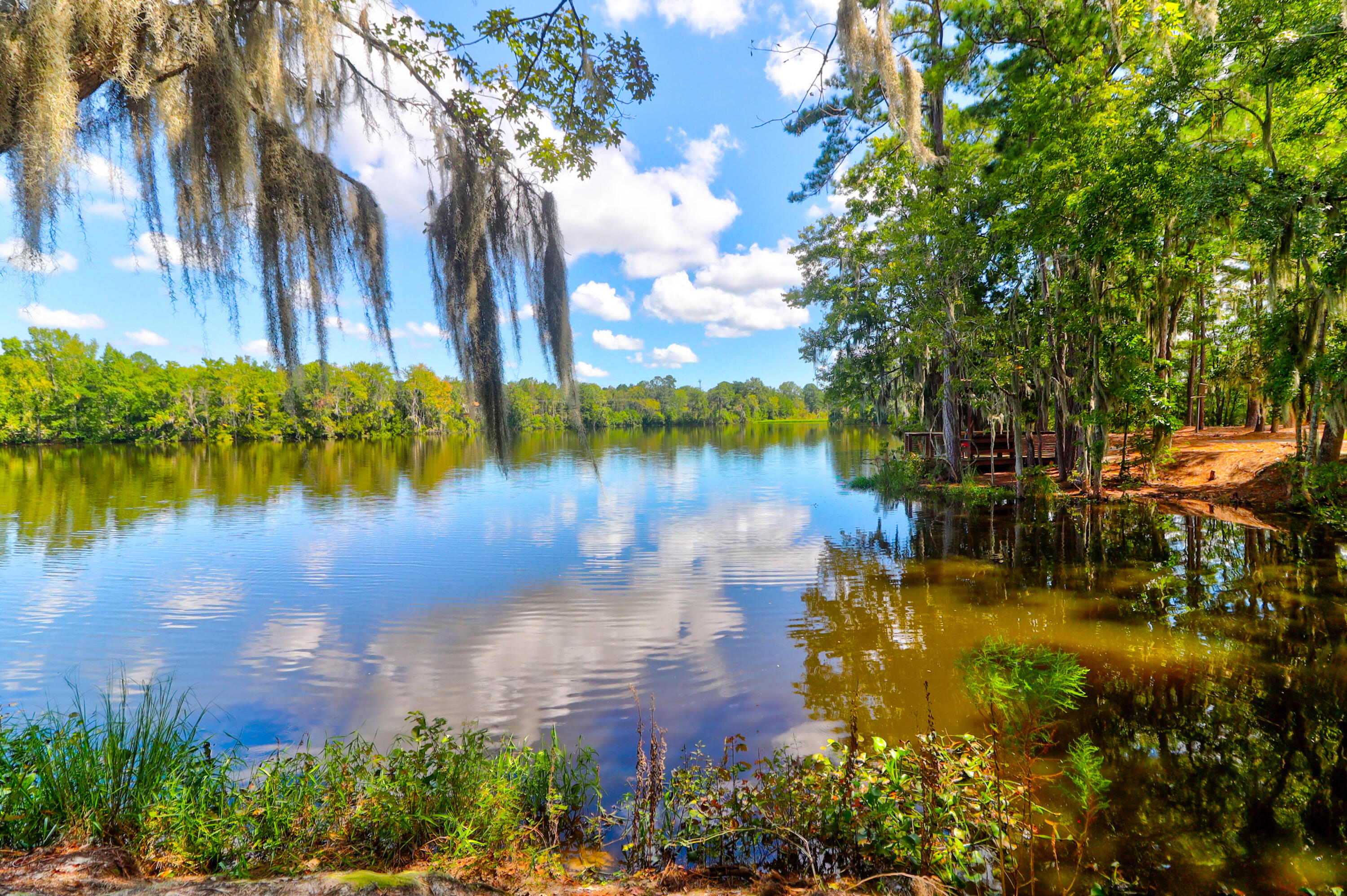 1888 Nola Run Ridgeville, SC 29472 - Photo 66 of 69 1888 Nola -Tidalcreekphoto- (67)