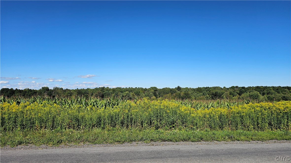 10730 Old State Road Denmark, NY 13619 - Photo 2 of 7