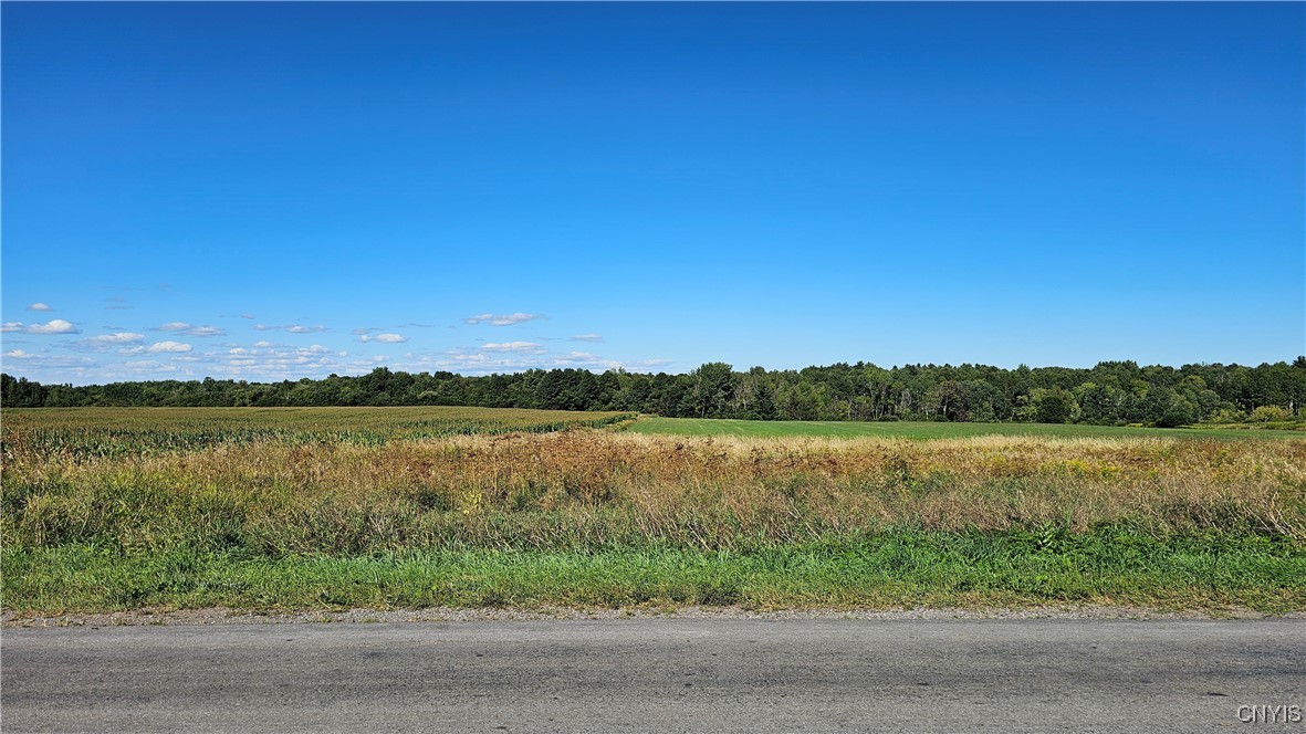 10730 Old State Road Denmark, NY 13619 - Photo 3 of 7