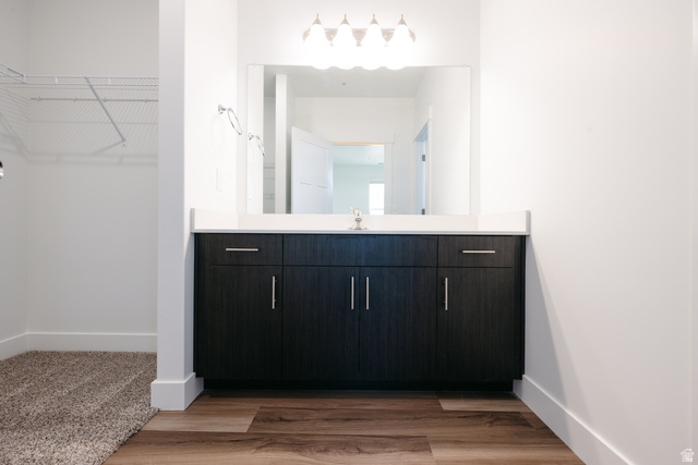 4653 South Alder Drive, Unit H303 Mapleton, UT 84664 - Photo 12 of 15 Bathroom with a walk in closet, vanity, and light wood-style floors
