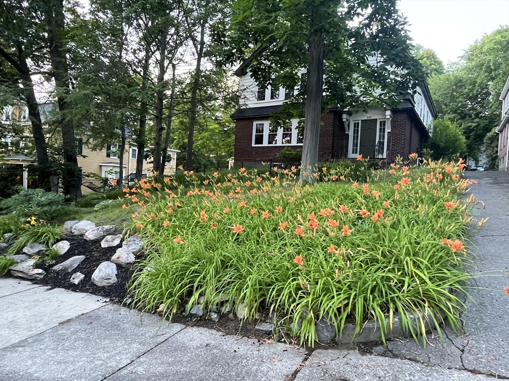30 Perkins Street, Unit 1 Newton, MA 02465 - Photo 34 of 34 a front view of a house with a yard and potted plants
