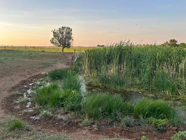 a view of a lush green field