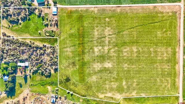 a view of a field with an ocean